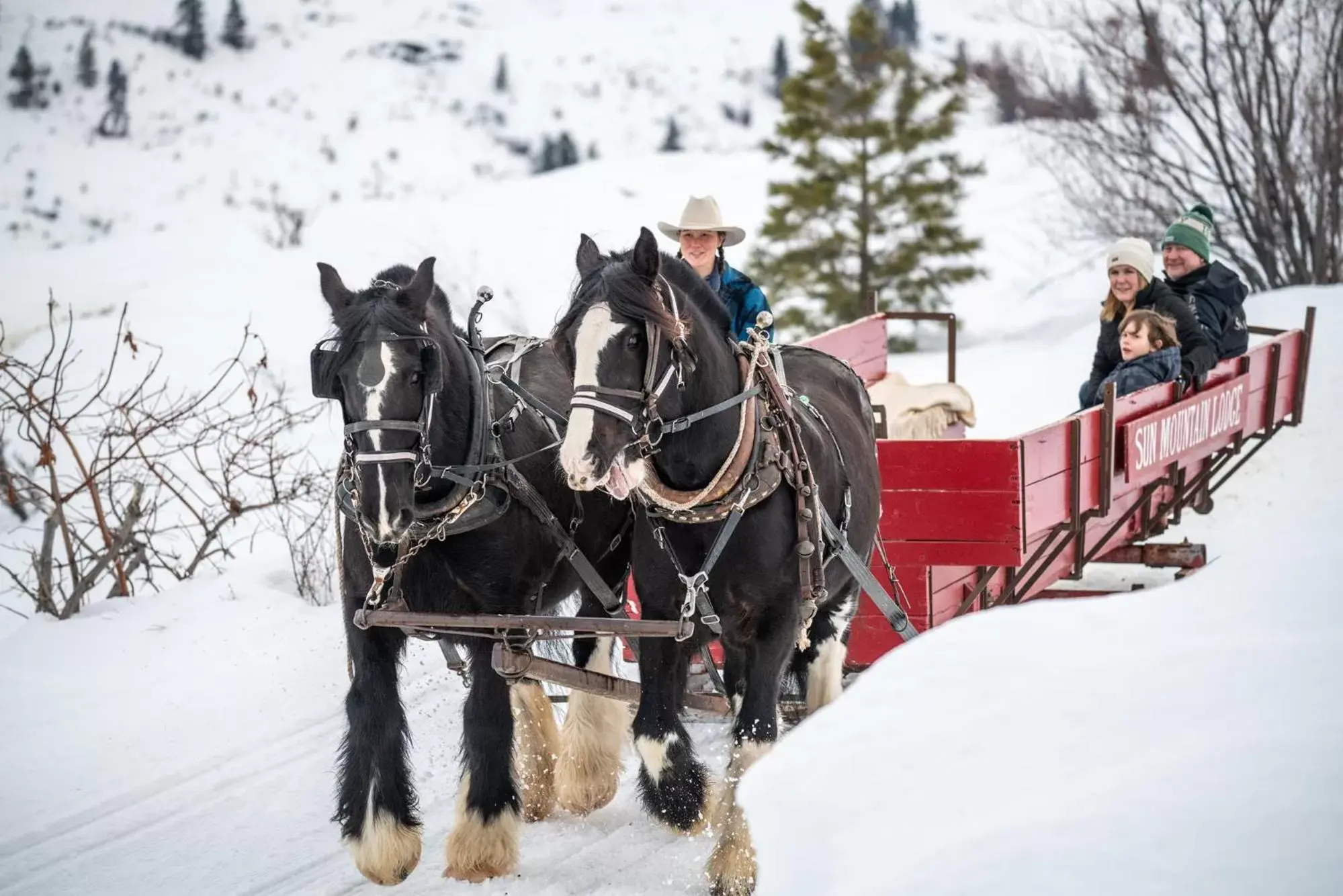 Winter, Horseback Riding in Sun Mountain Lodge