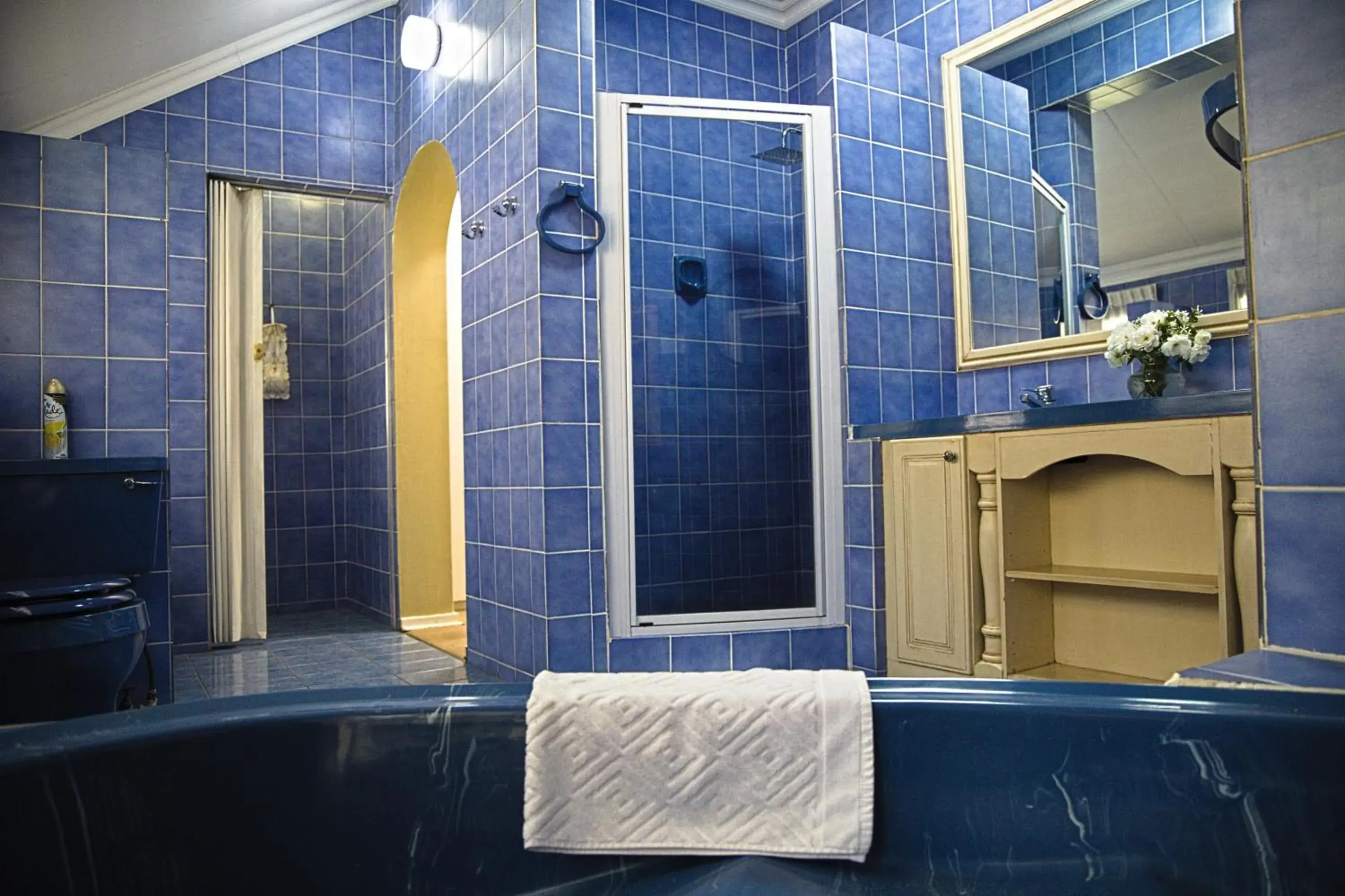 Shower, Bathroom in Royal Ridge Guesthouse