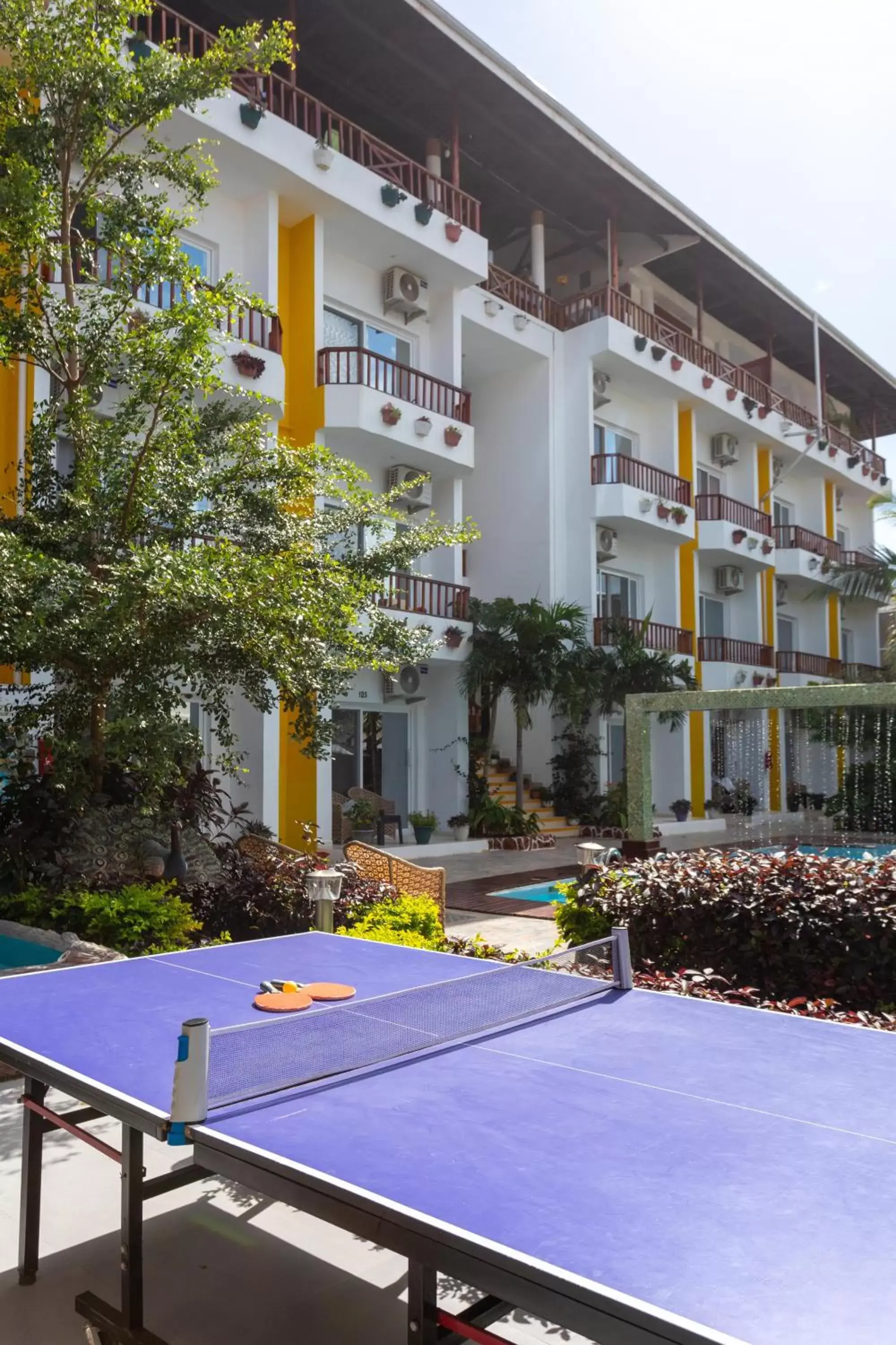 Table tennis, Property Building in Canary Nungwi Hotel & Free SPA