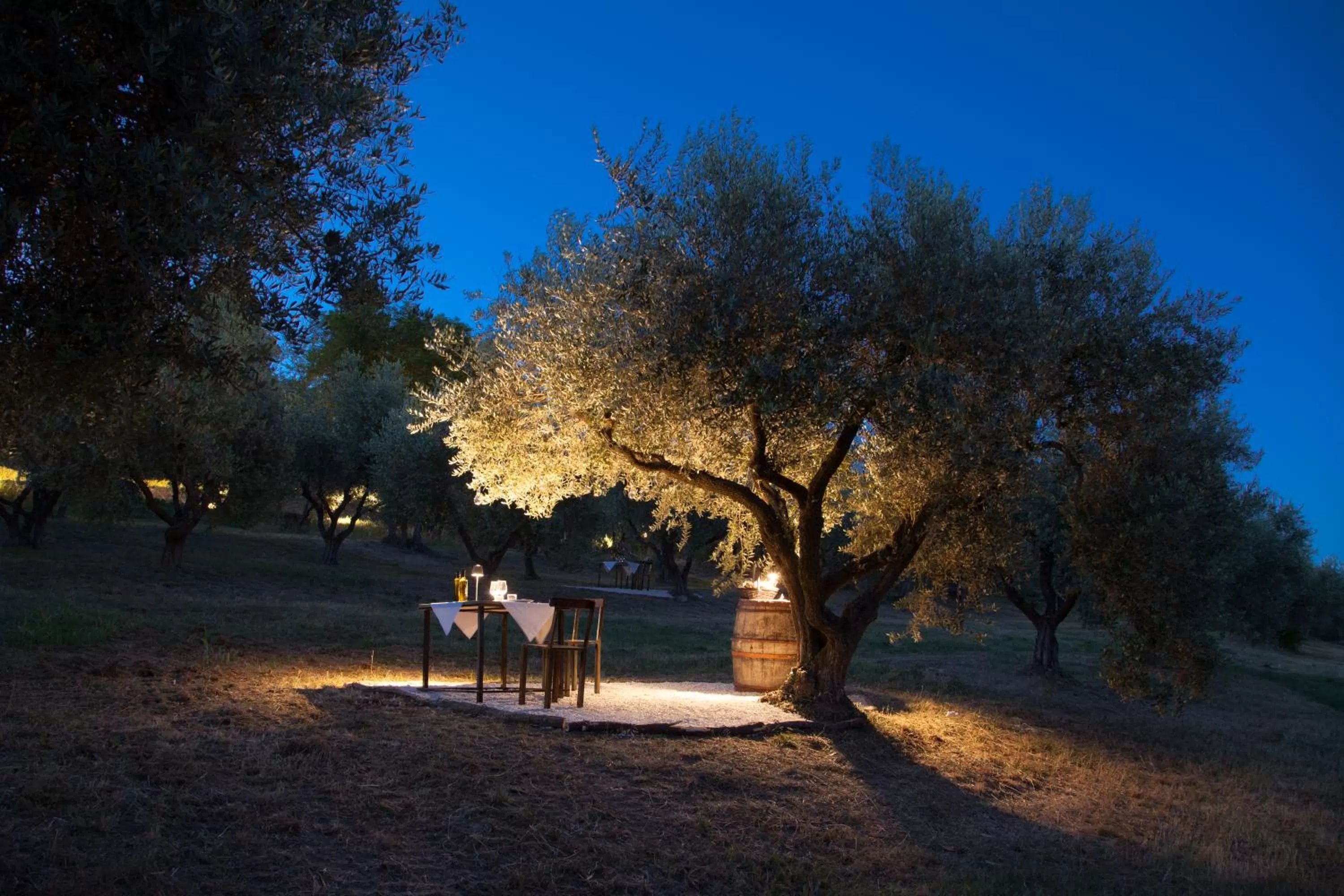Natural landscape in Terra di Gradara