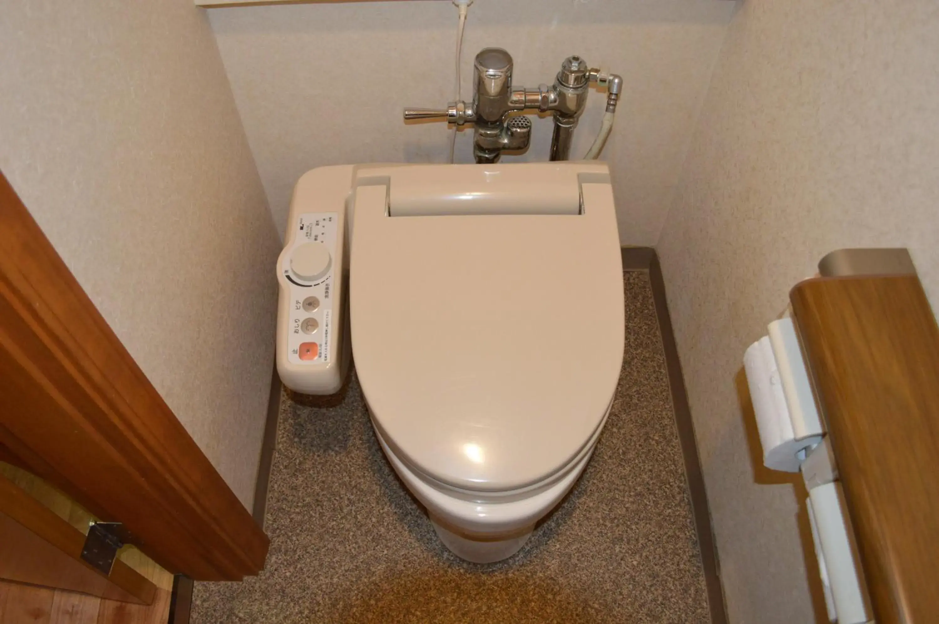 Toilet, Bathroom in Yuzawa Grand Hotel