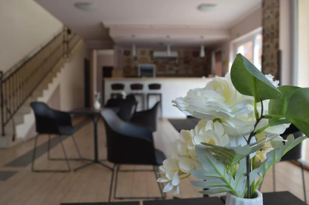 Aqua Oazis Apartman