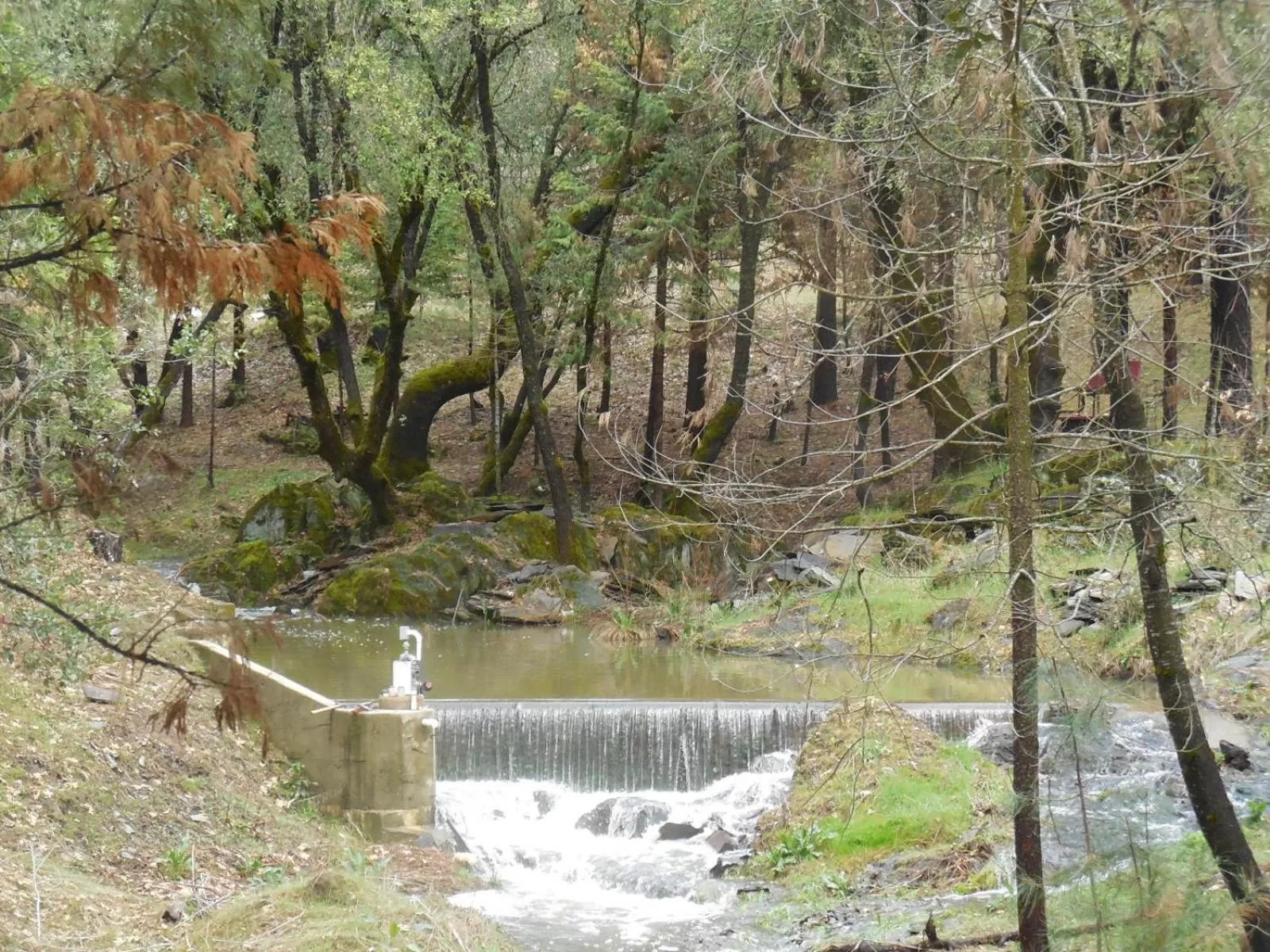 Property building, Natural Landscape in Yosemite Paradise Inn