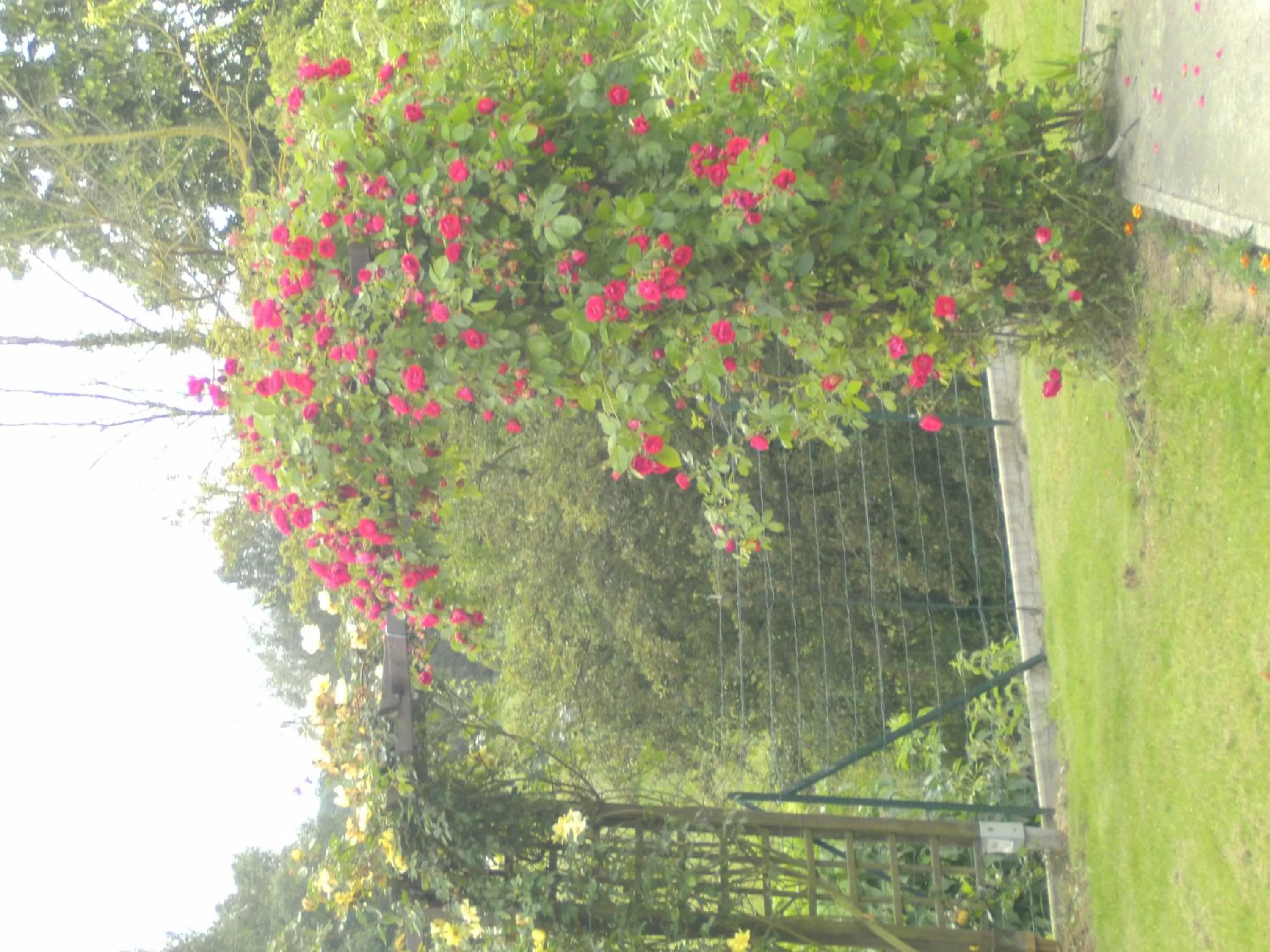 Garden in Au fil de l'Eau