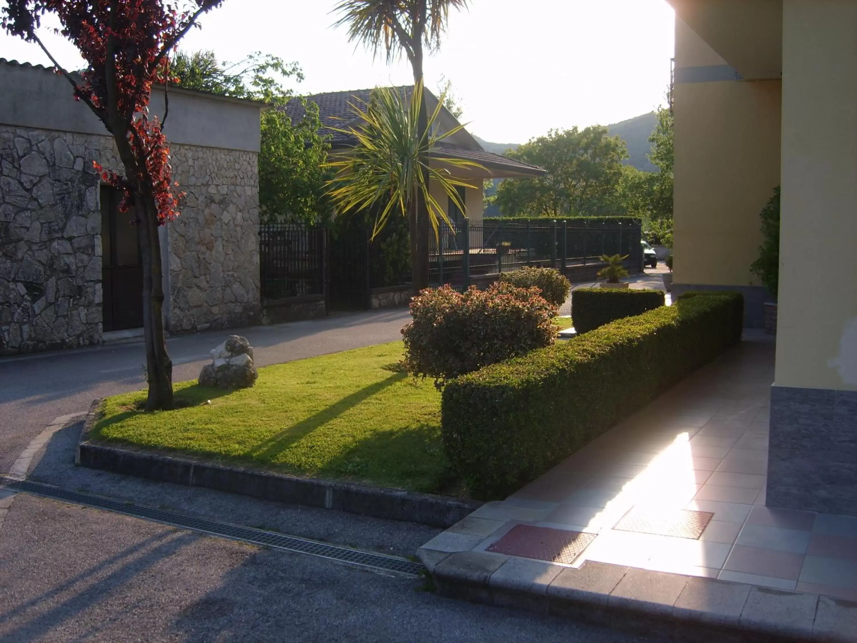 Area and facilities in Hotel Rosso Di Sera