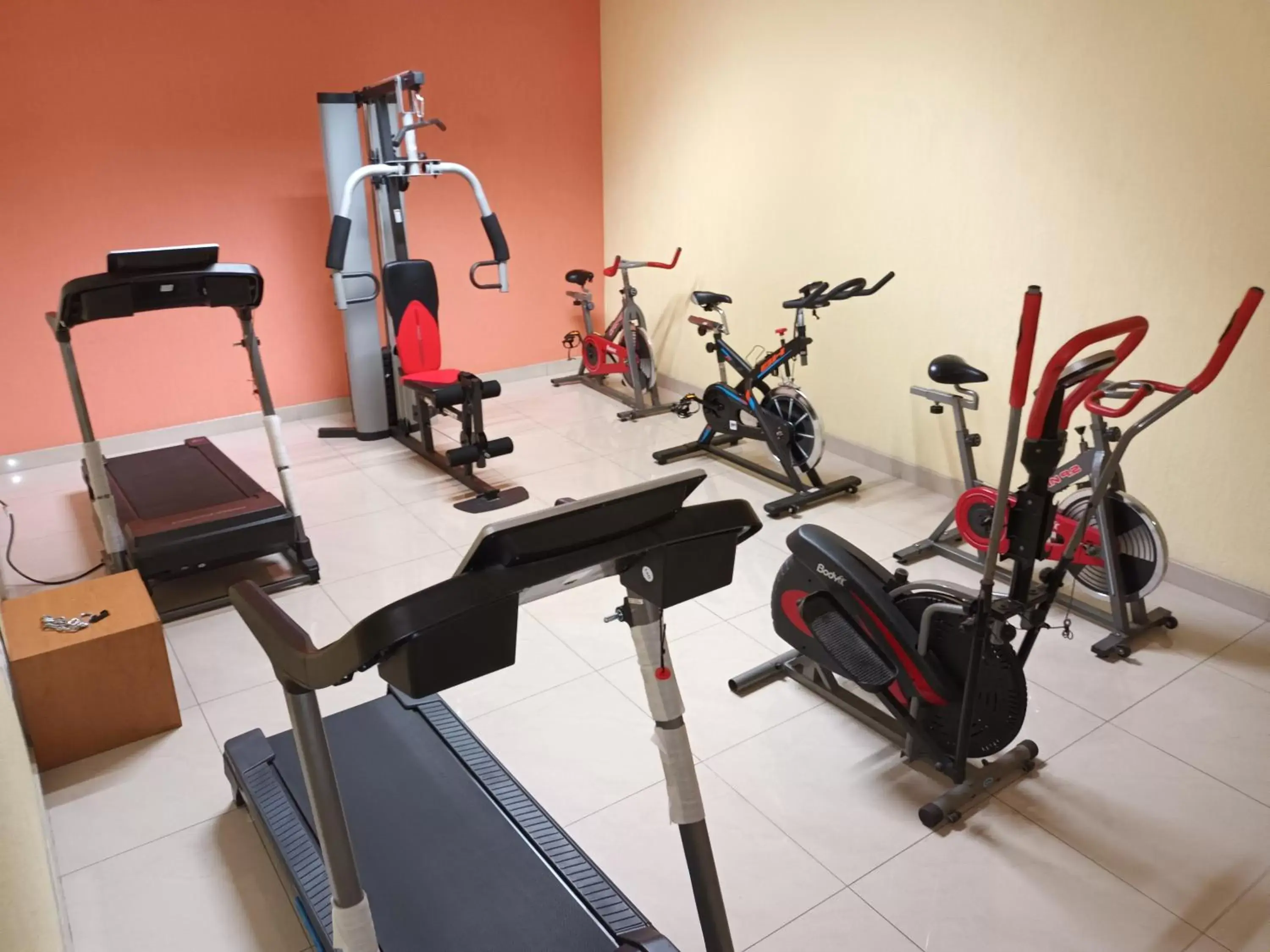 Fitness centre/facilities, Fitness Center/Facilities in Hostalia Hotel Expo & Business Class