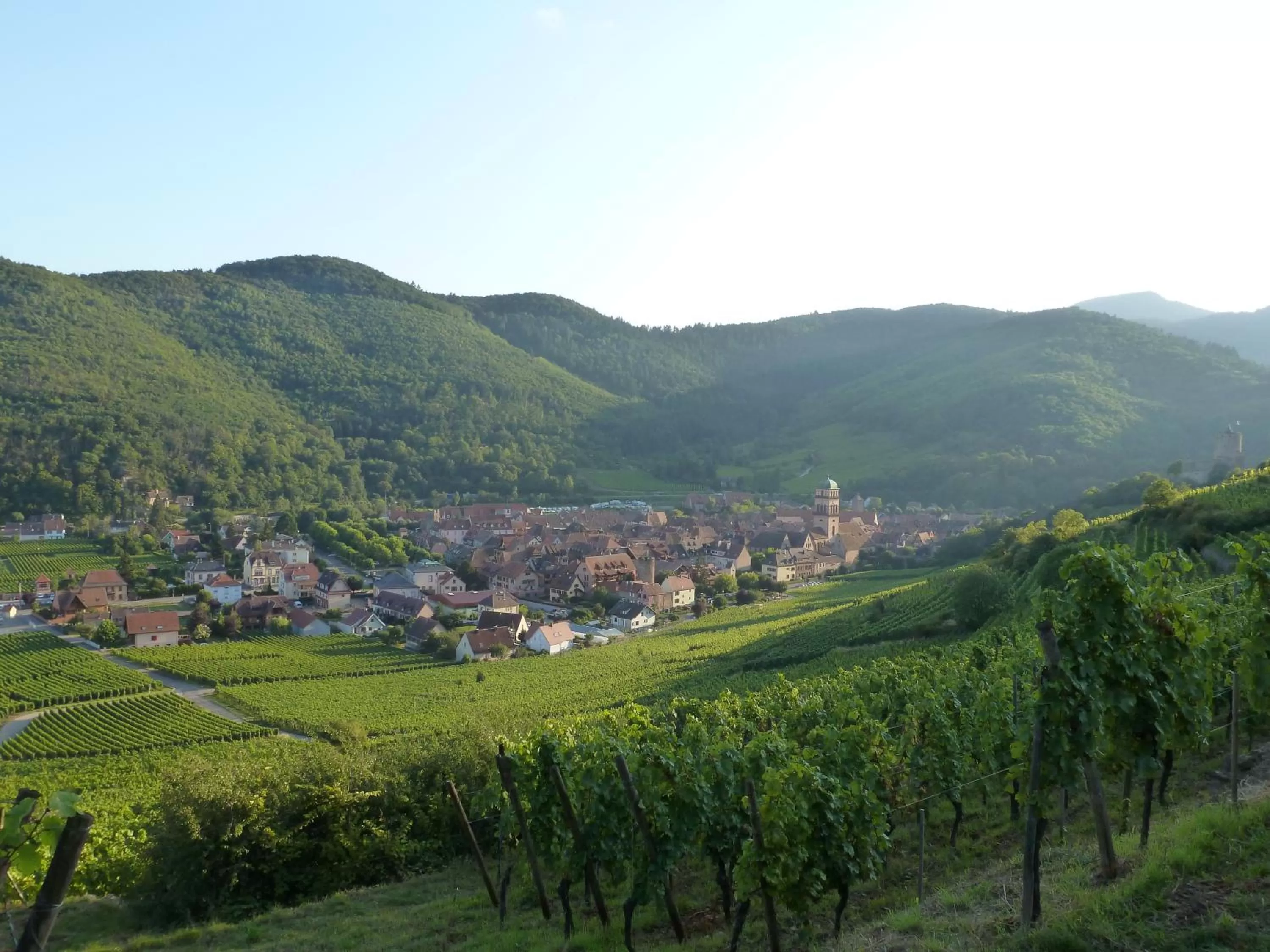 Nearby landmark in Hotel KLE, BW Signature Collection