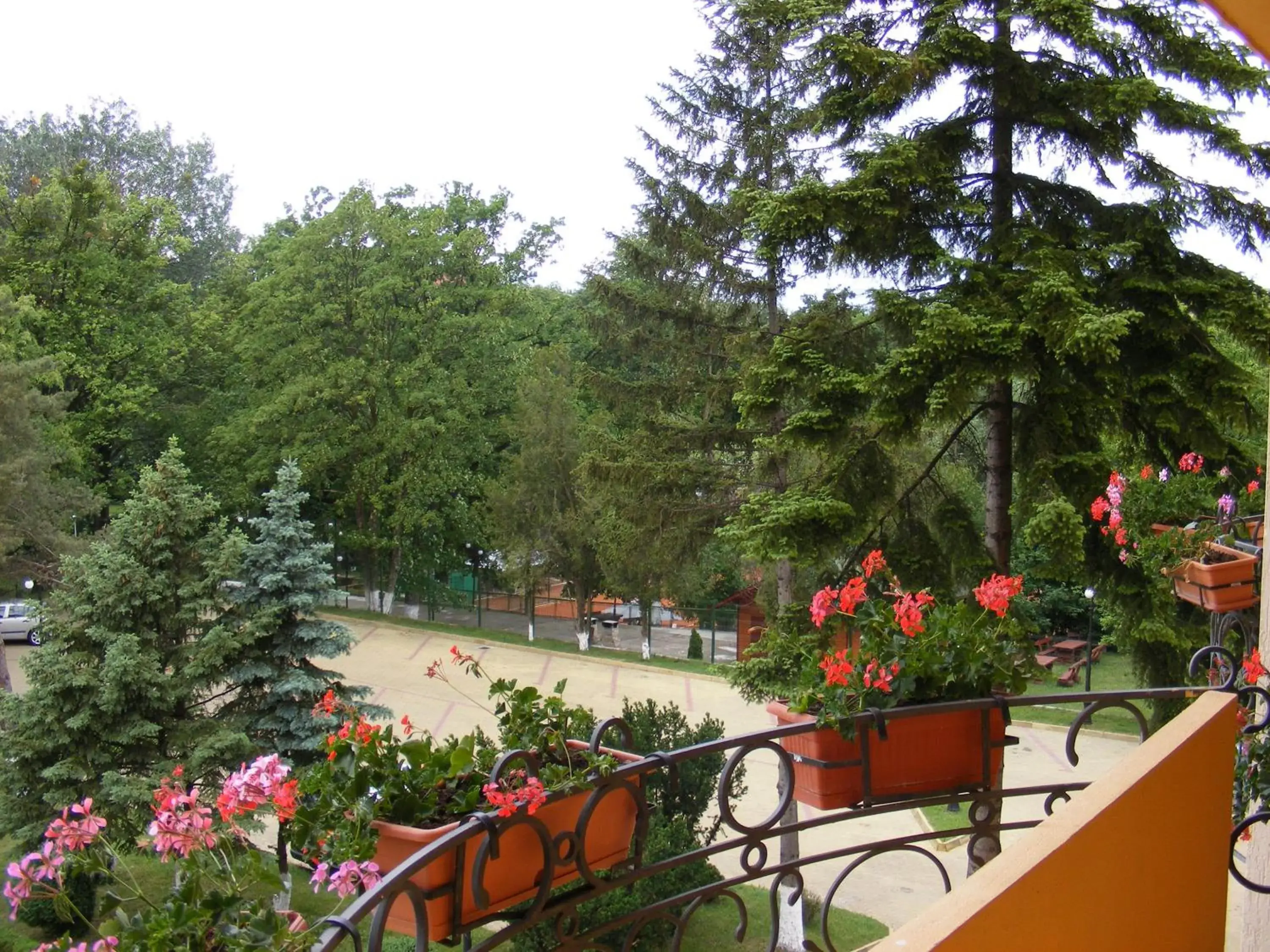 Garden in Best Western Silva Hotel