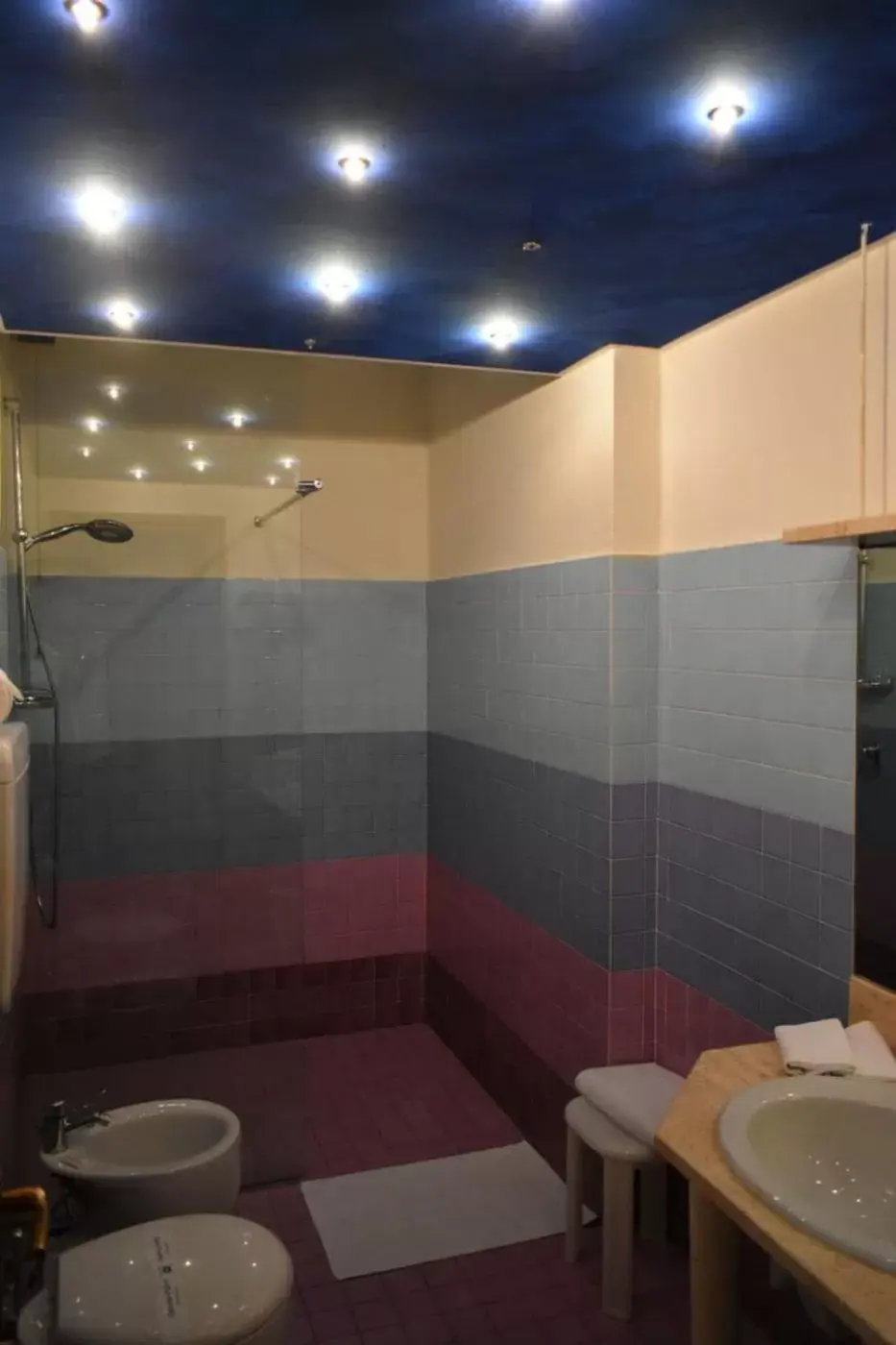 Shower, Bathroom in Orzihotel