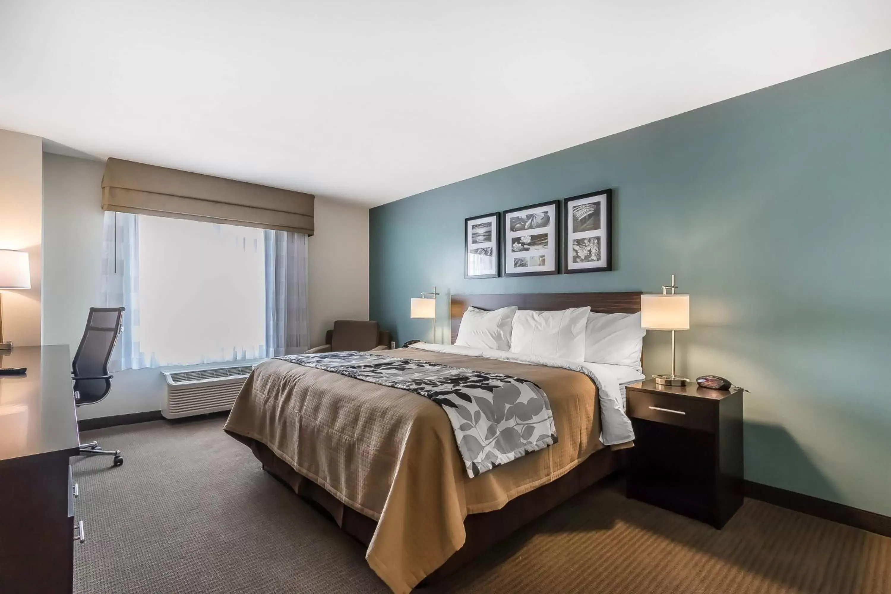 Bedroom, Room Photo in Sleep Inn & Suites O'Fallon MO - Technology Drive