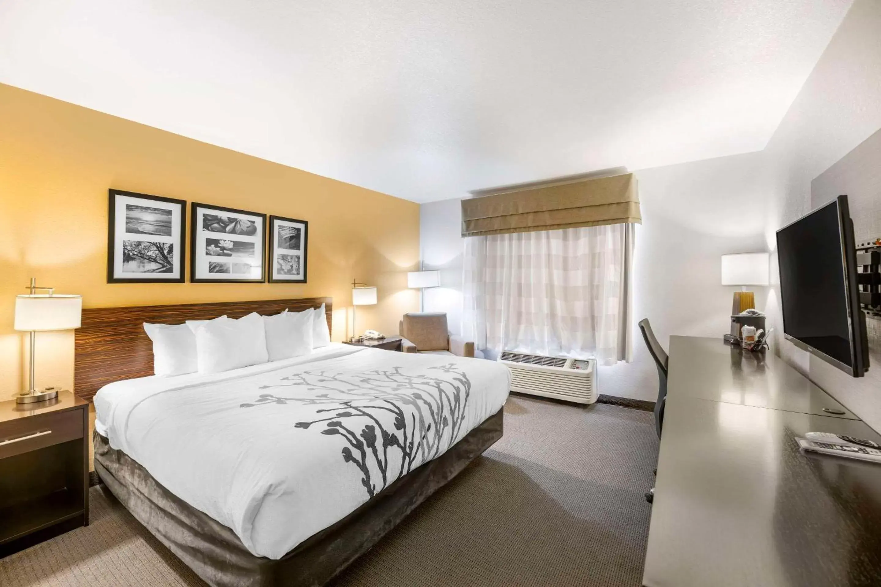 Bedroom, Bed in Sleep Inn & Suites Carlsbad Caverns Area Bedroom, Bed in Sleep Inn & Suites Carlsbad Caverns Area