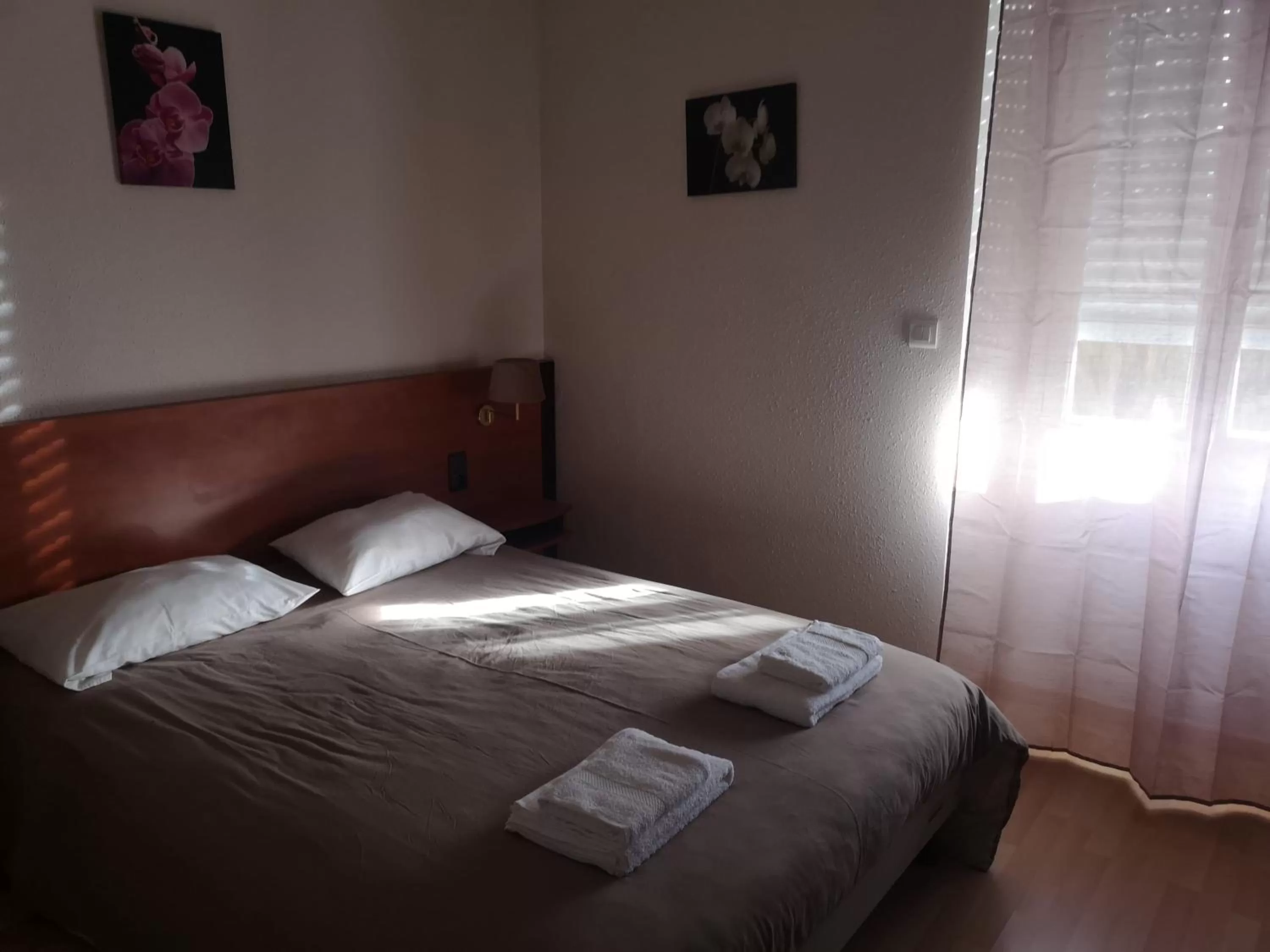 Bed in Hôtel Castel d'Olmes