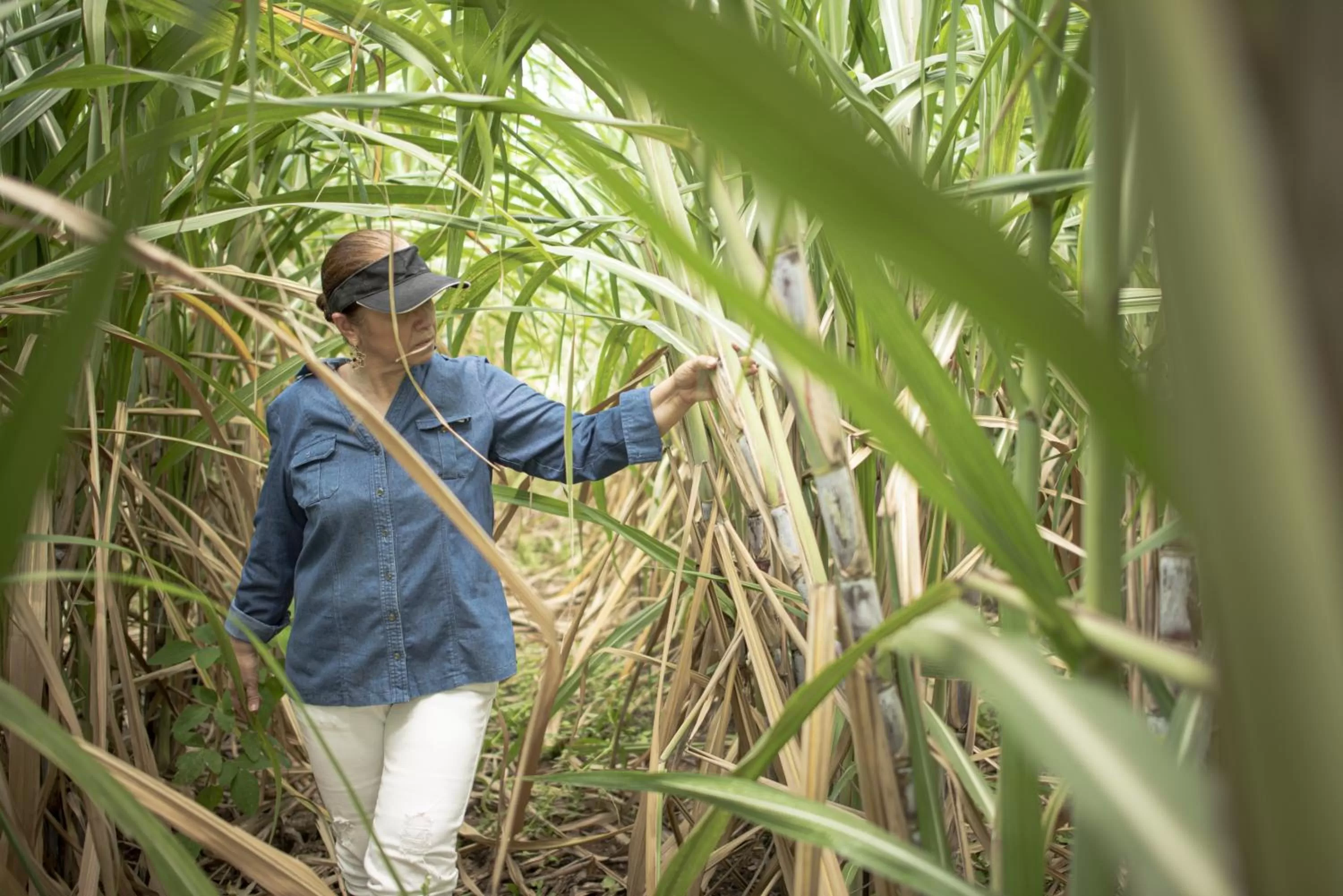 Entertainment in Hotel de Campo Villa de Ada
