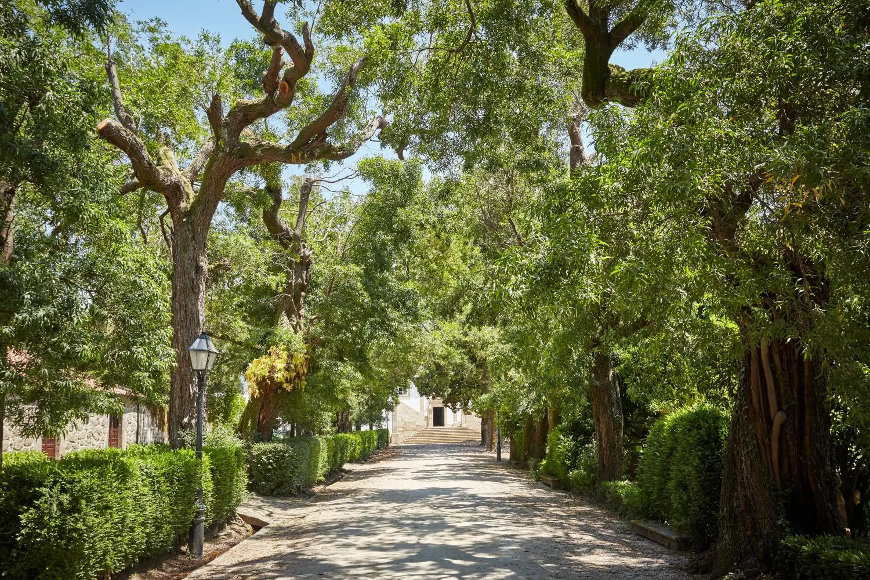 Off site in Paço de Calheiros - Turismo de Habitação