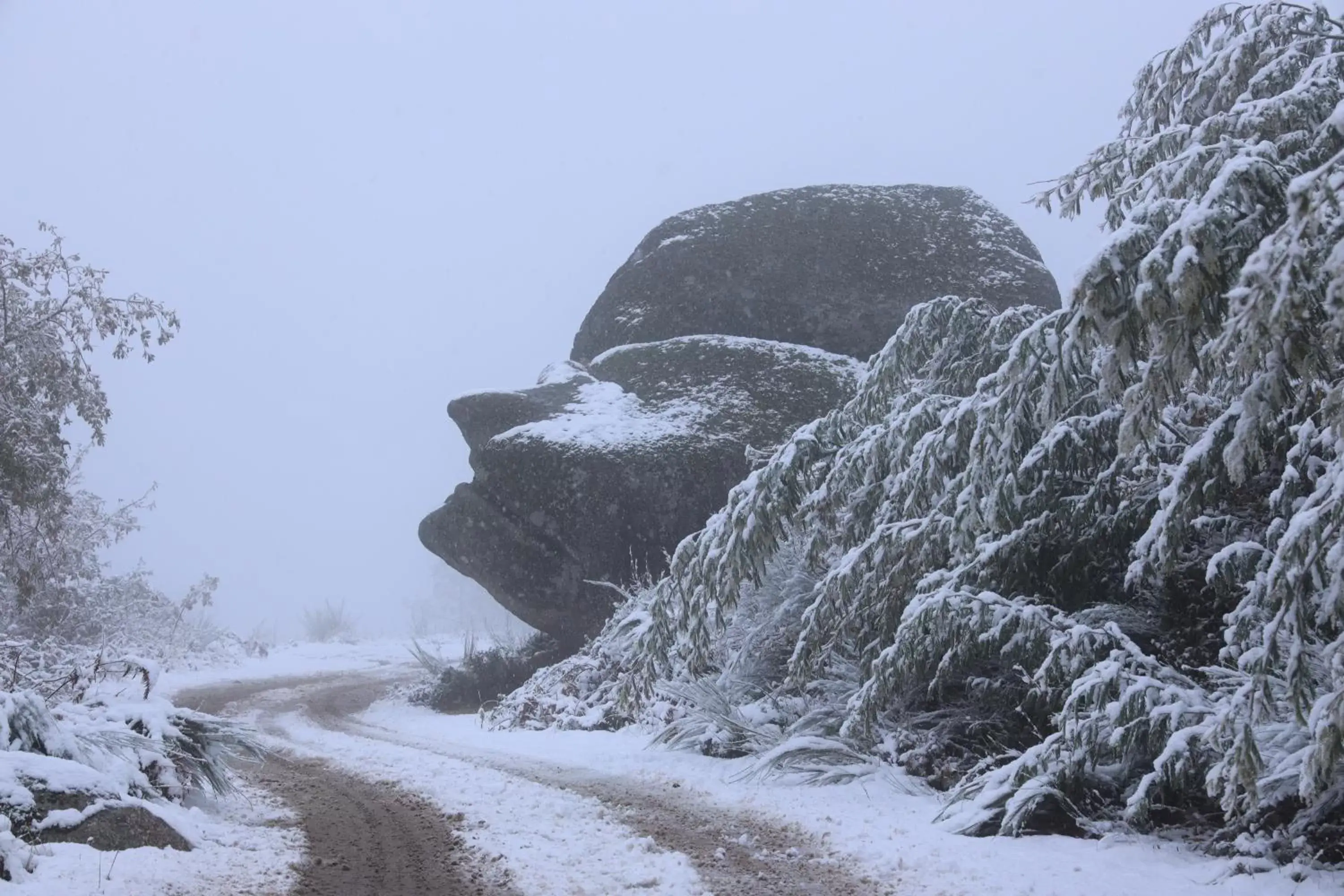 Winter in LOBOS VILLAGE - Alojamento