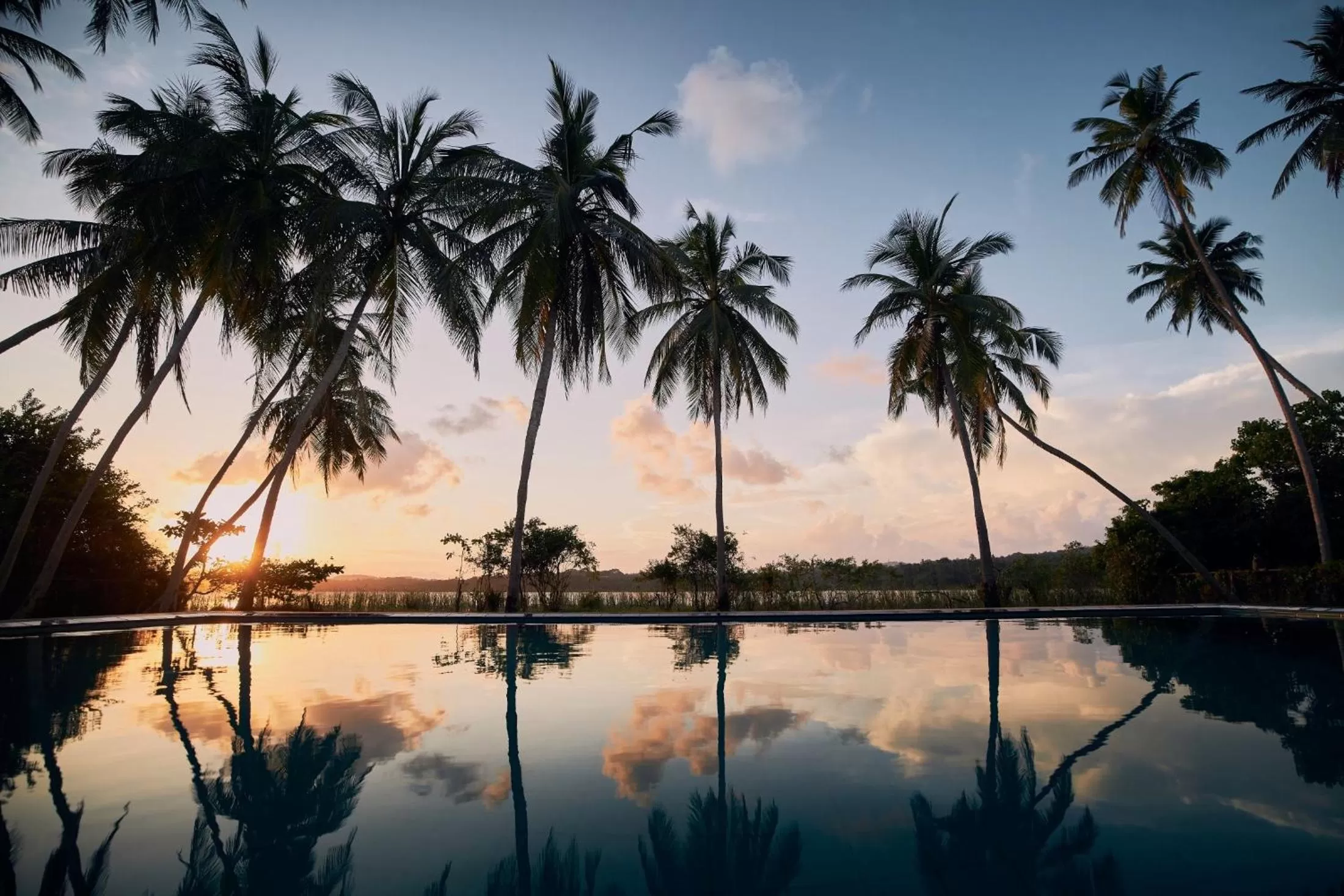 Natural landscape in Simply Peace