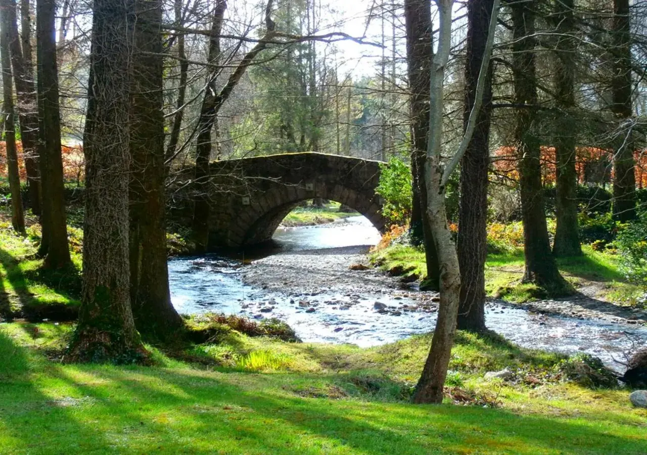 Natural landscape in BrookLodge & Macreddin Village