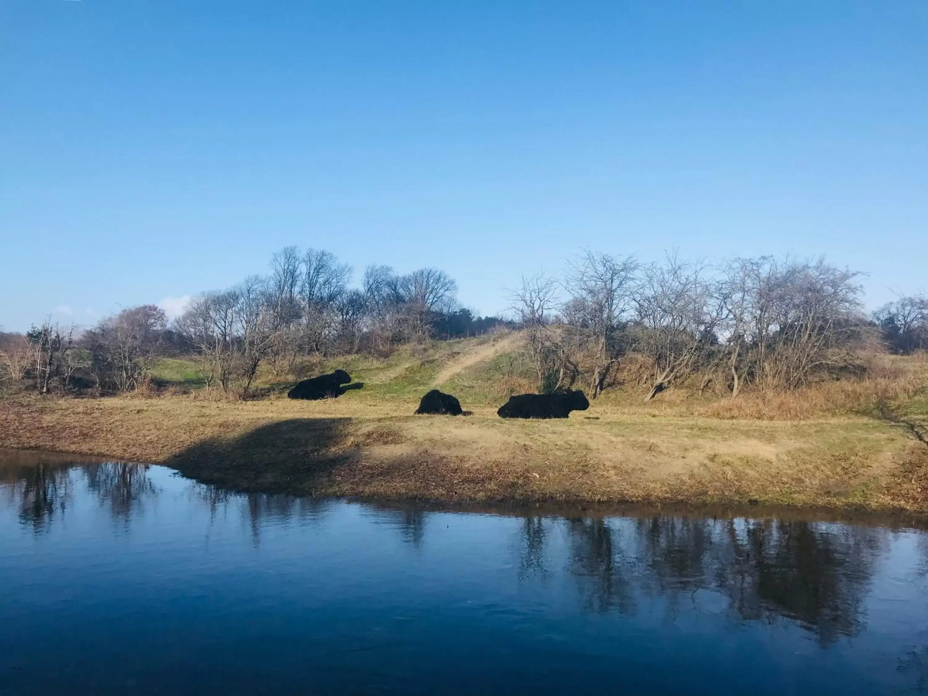 Natural Landscape in B&B Beach&Bos