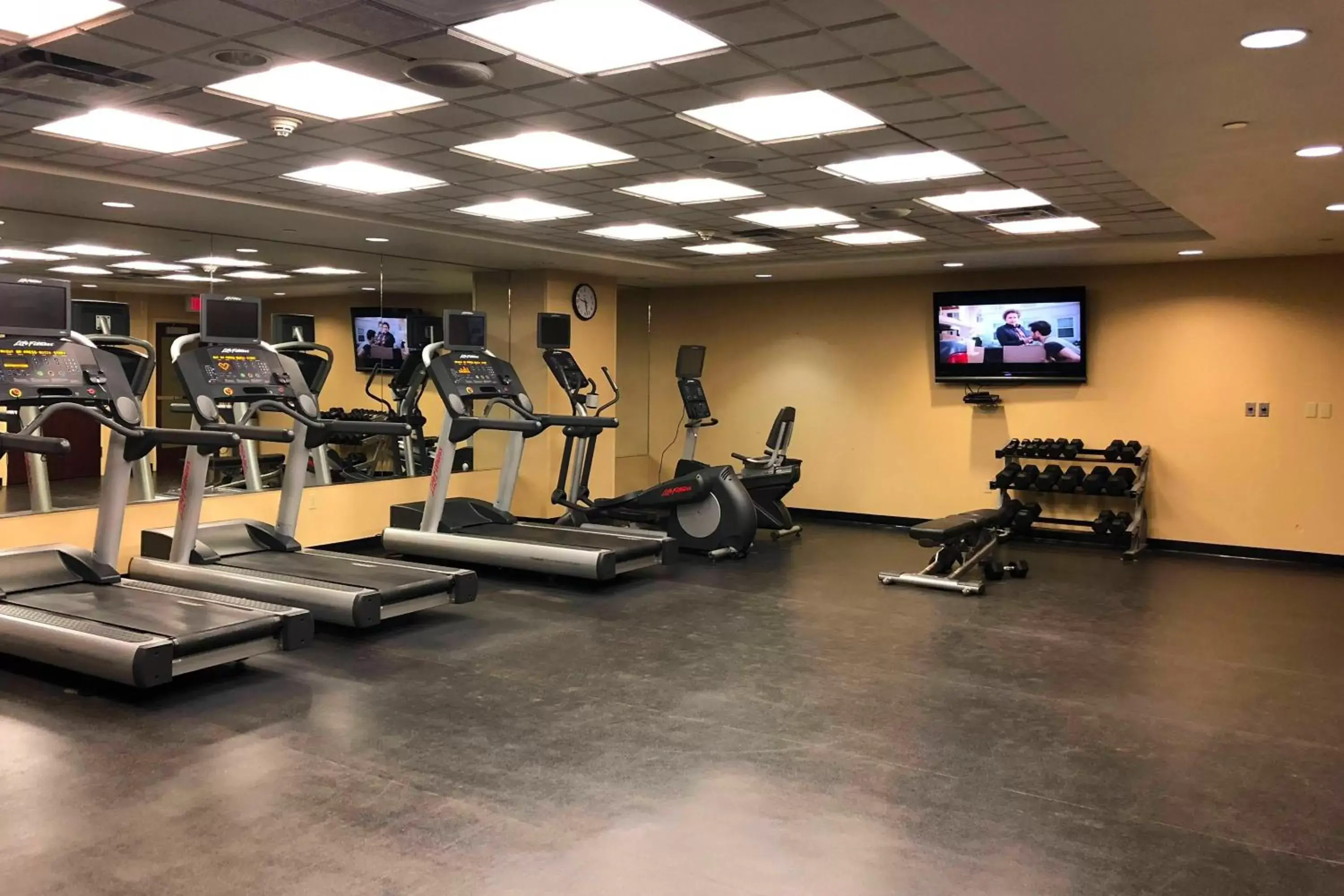 Fitness centre/facilities, Fitness Center/Facilities in SpringHill Suites by Marriott Pittsburgh North Shore