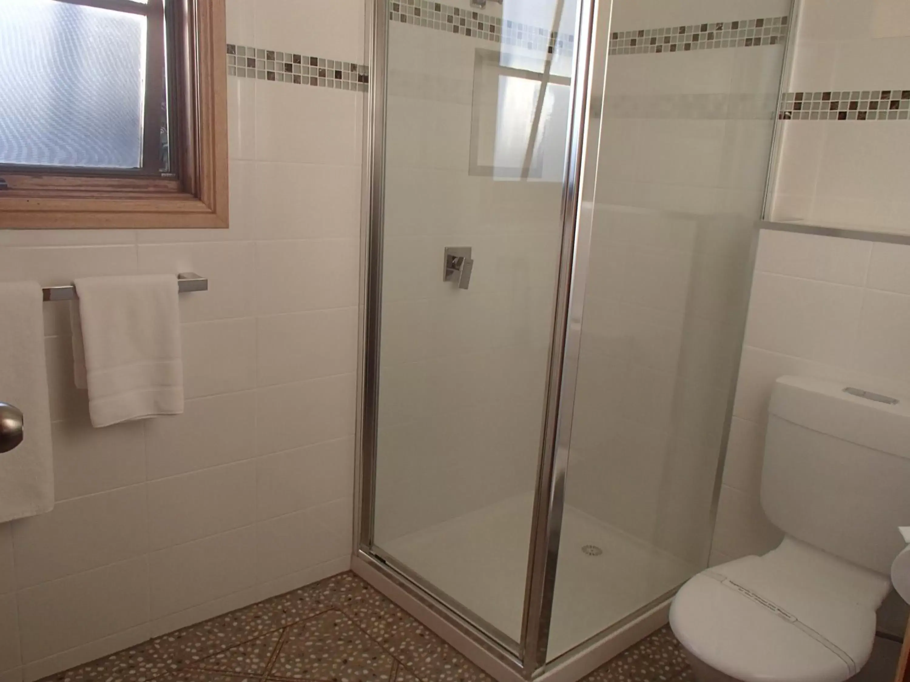 Shower, Bathroom in City Colonial Motor Inn