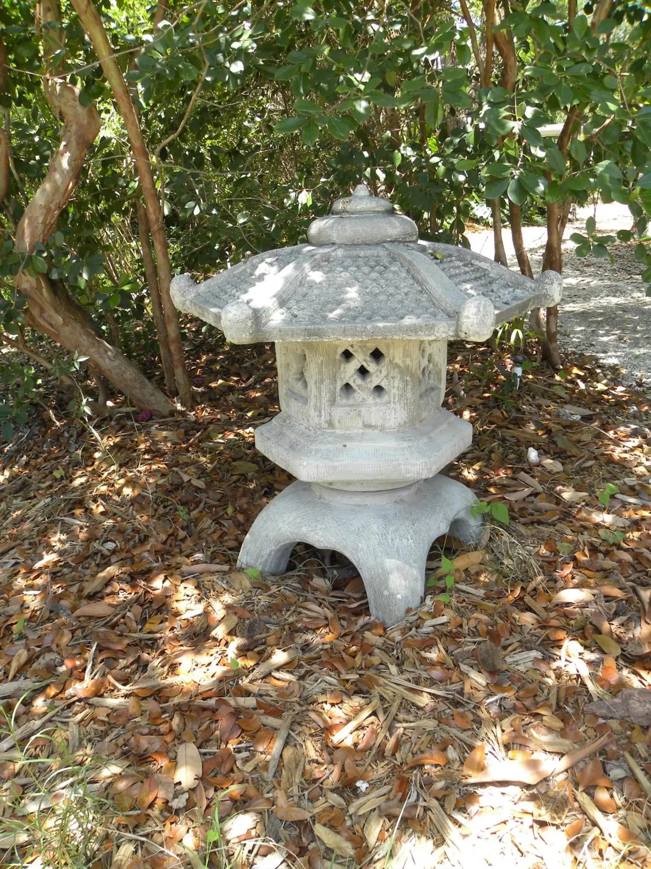 Garden in Rock Reef Resort