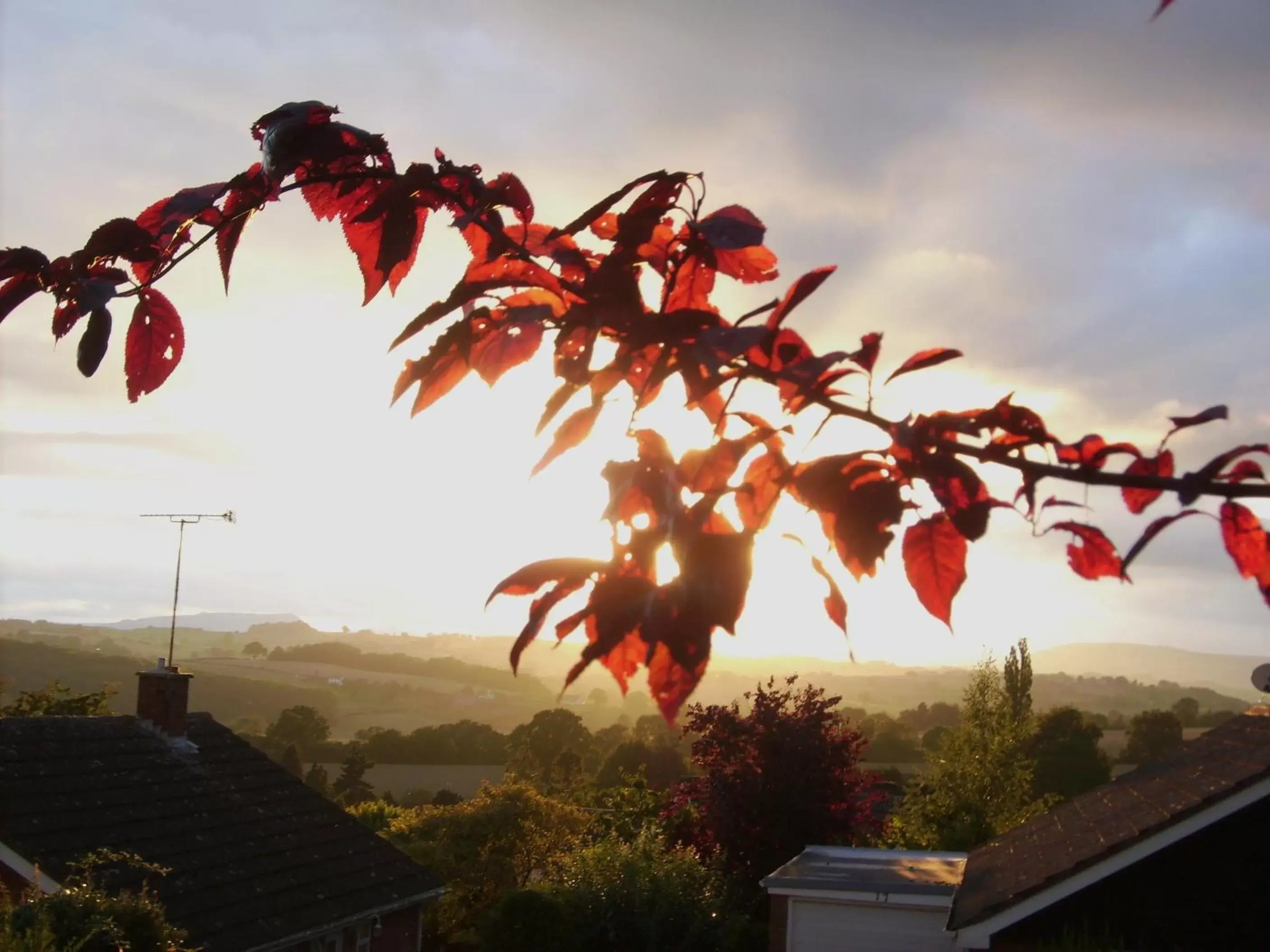 View (from property/room), Sunrise/Sunset in Torlands