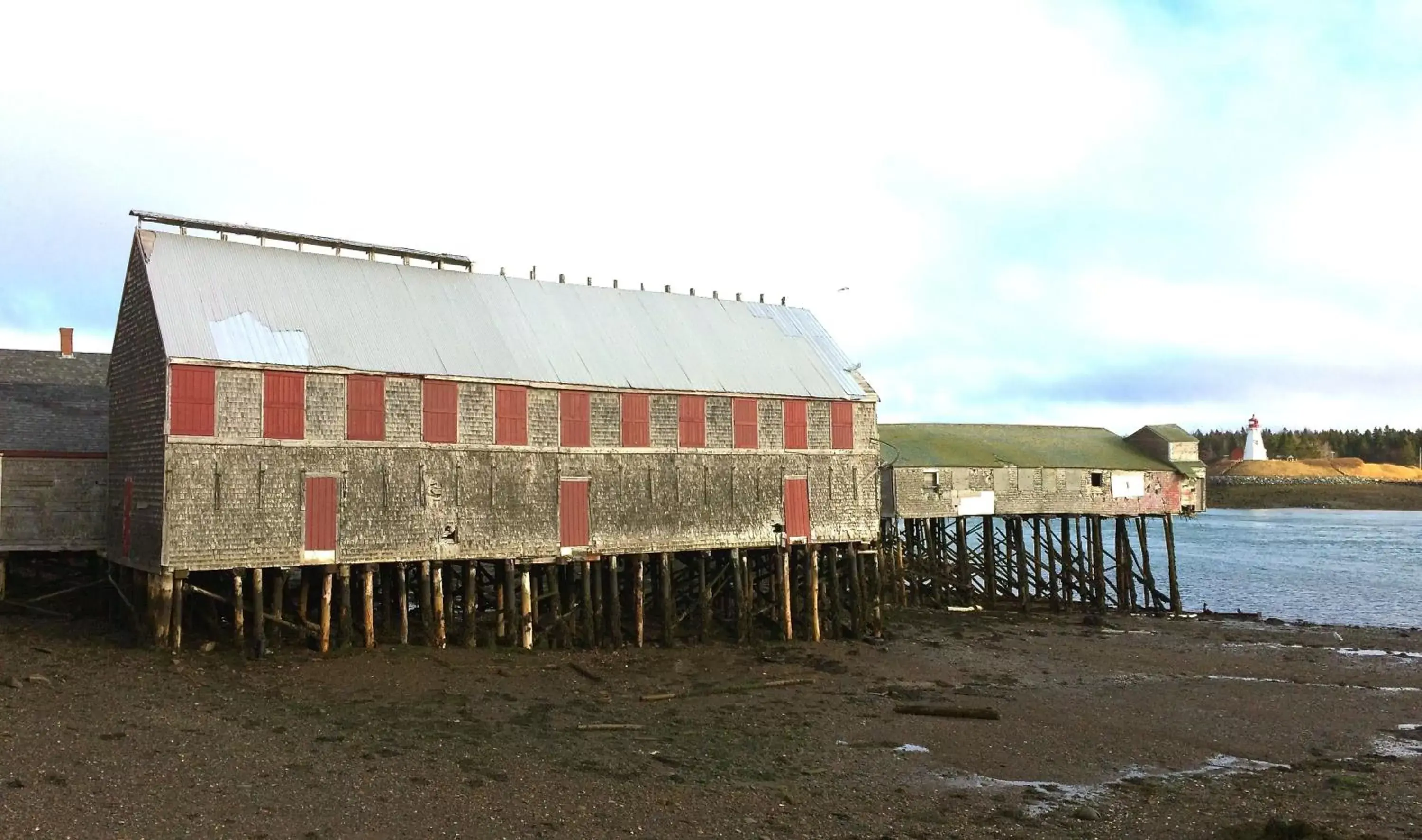 Natural landscape, Property Building in West Quoddy Station LLC