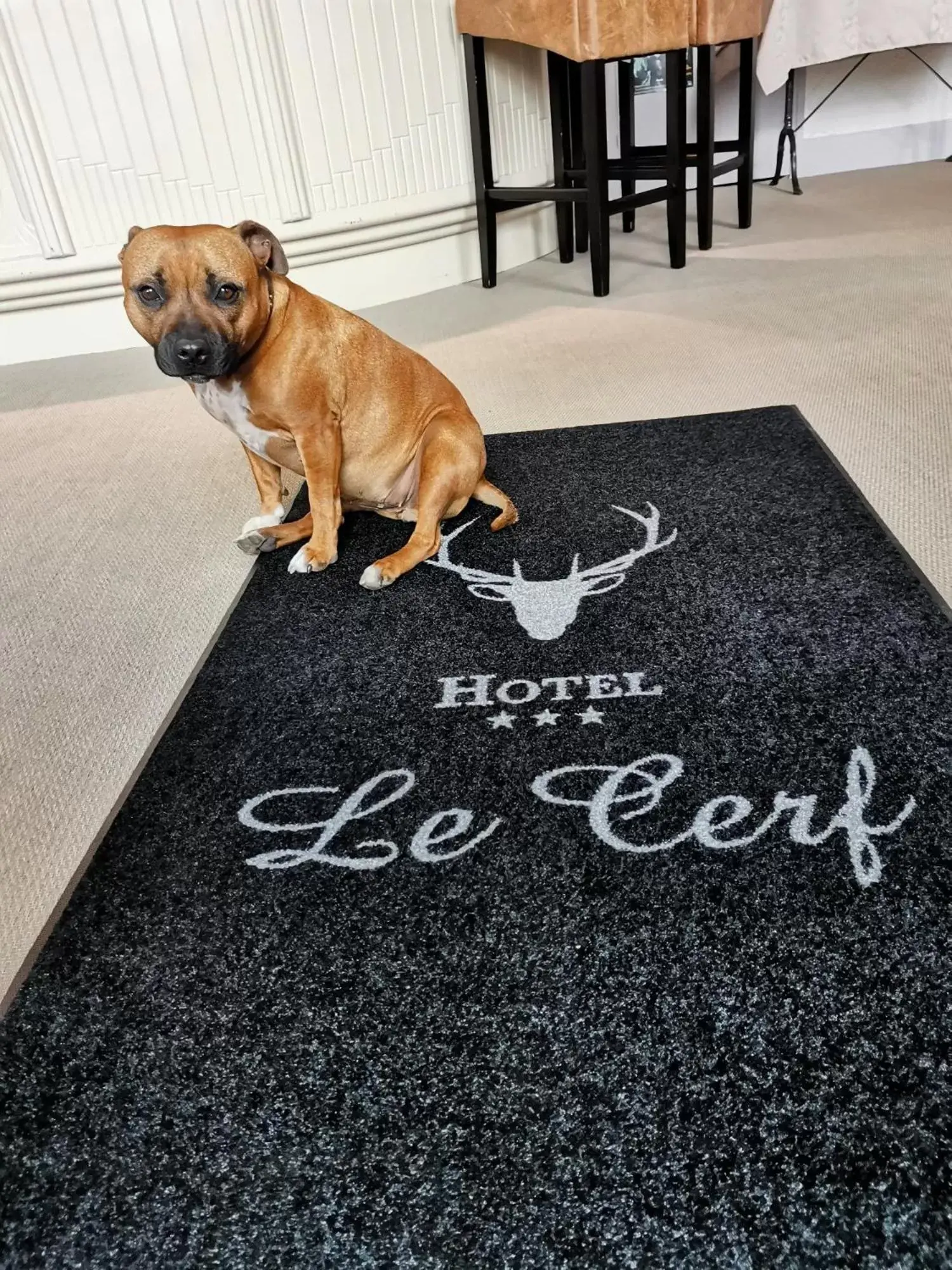 Lobby or reception in Logis Hotel Le Cerf Lobby or reception in Logis Hotel Le Cerf