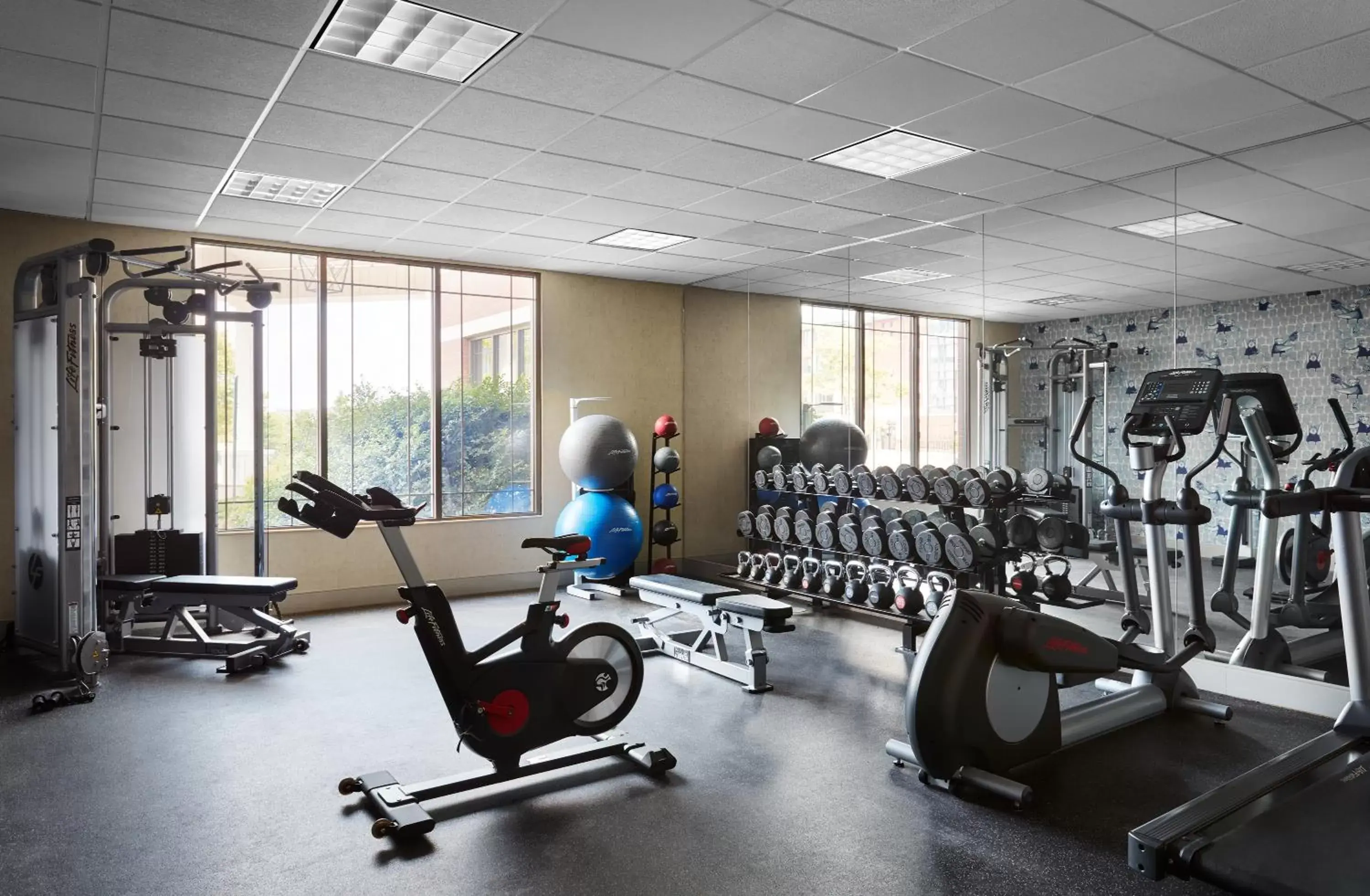 Fitness centre/facilities, Fitness Center/Facilities in Graduate Storrs