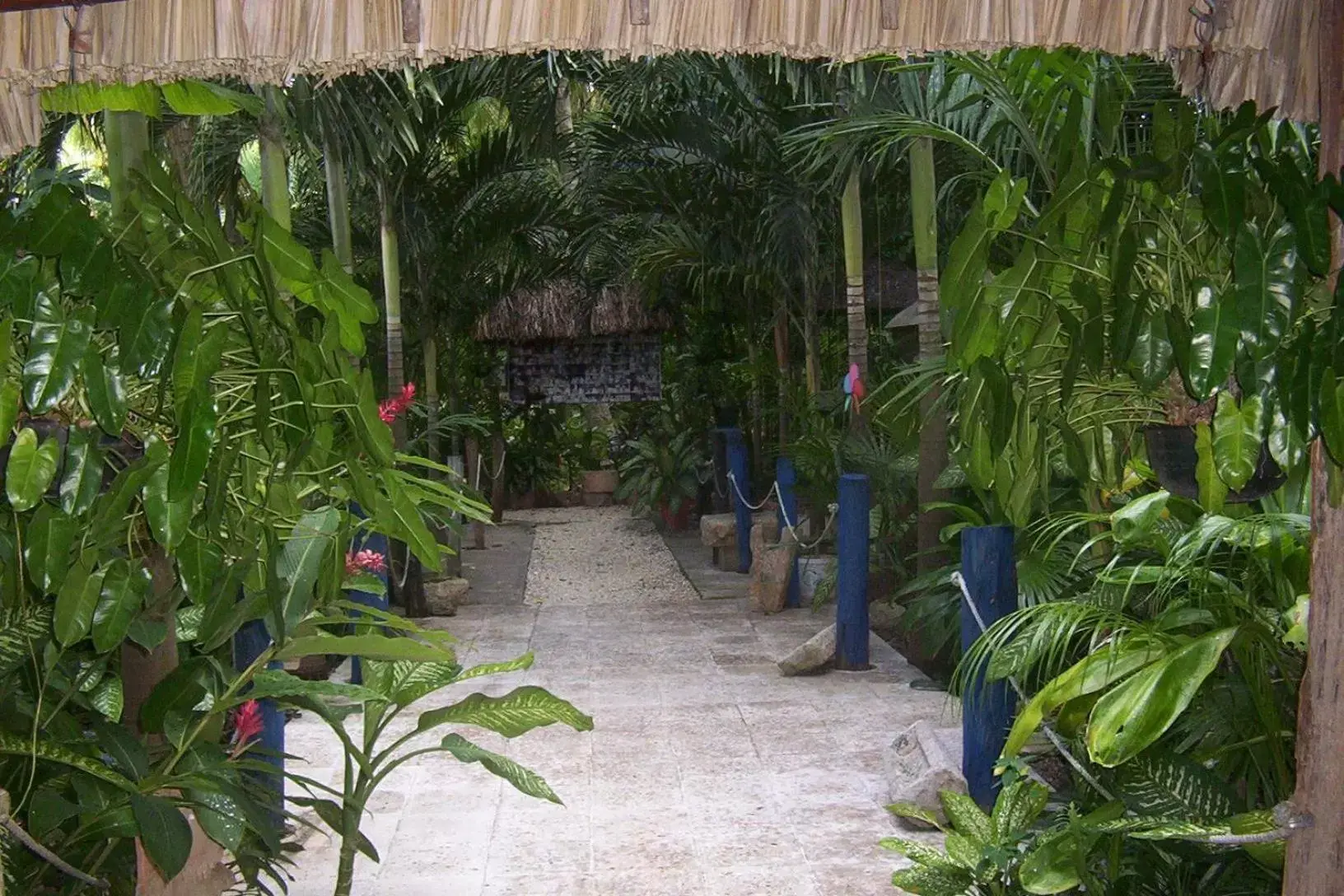 Garden view in Posada El Jardin