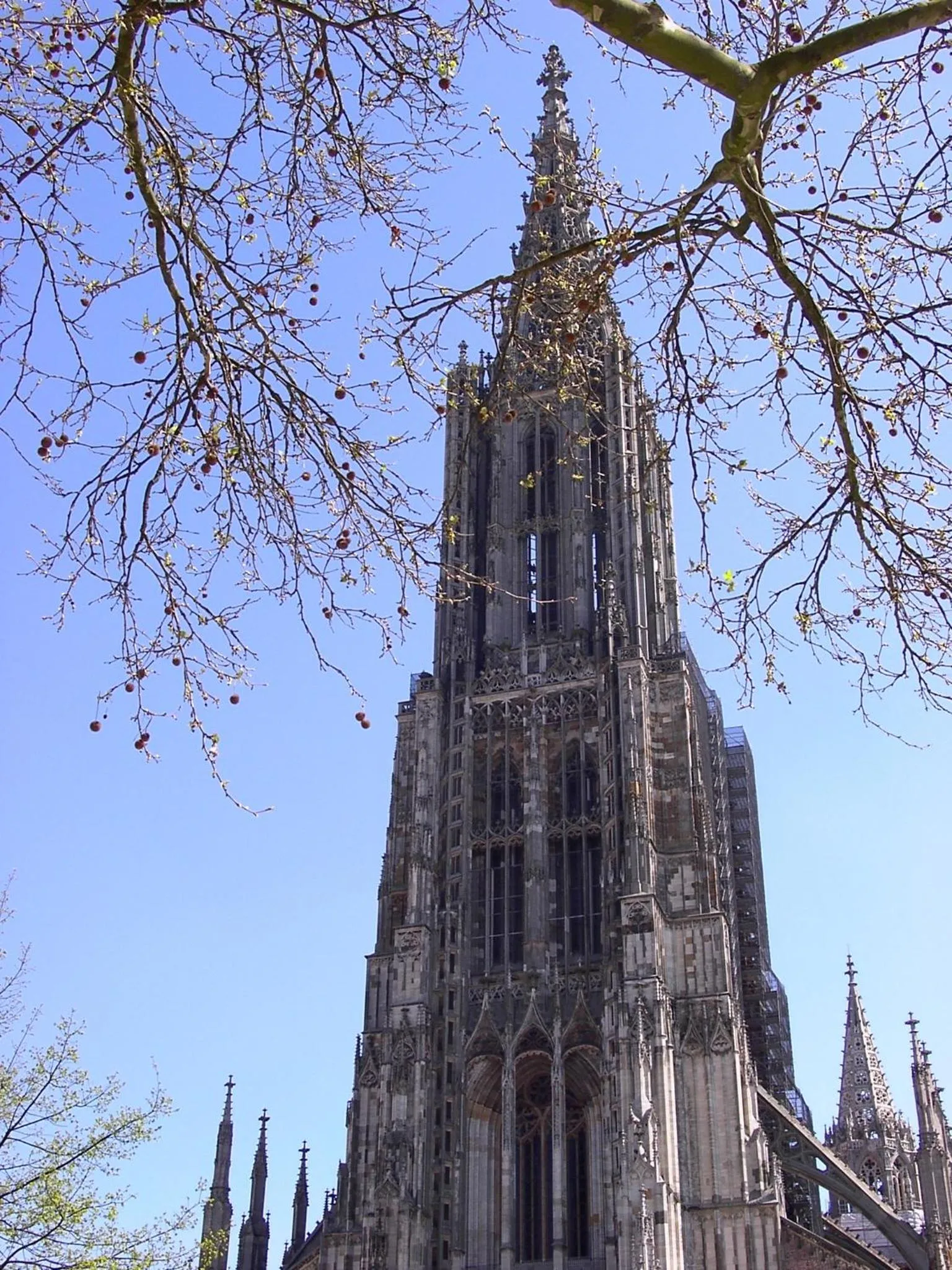 Area and facilities in Hotel Roter Löwe
