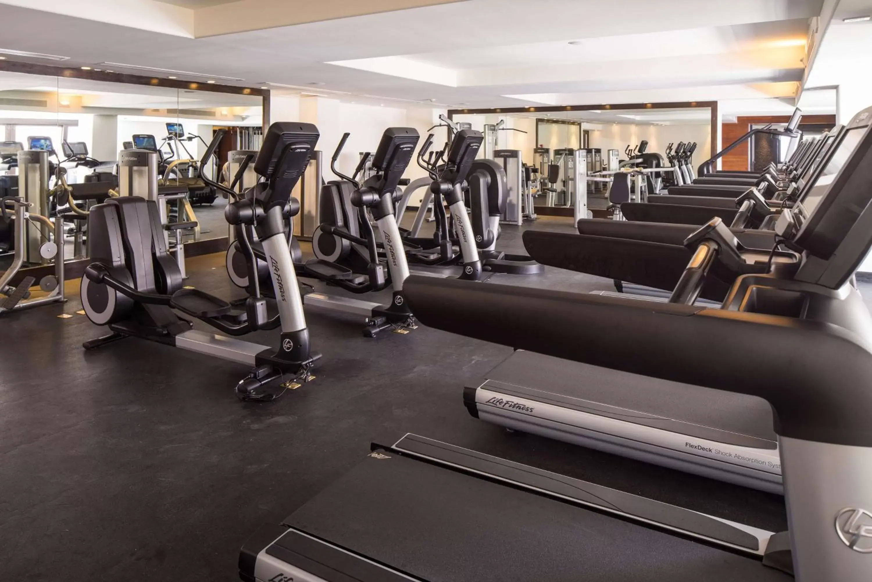 Fitness centre/facilities, Fitness Center/Facilities in Hilton Vacation Club Cabo Azul Los Cabos