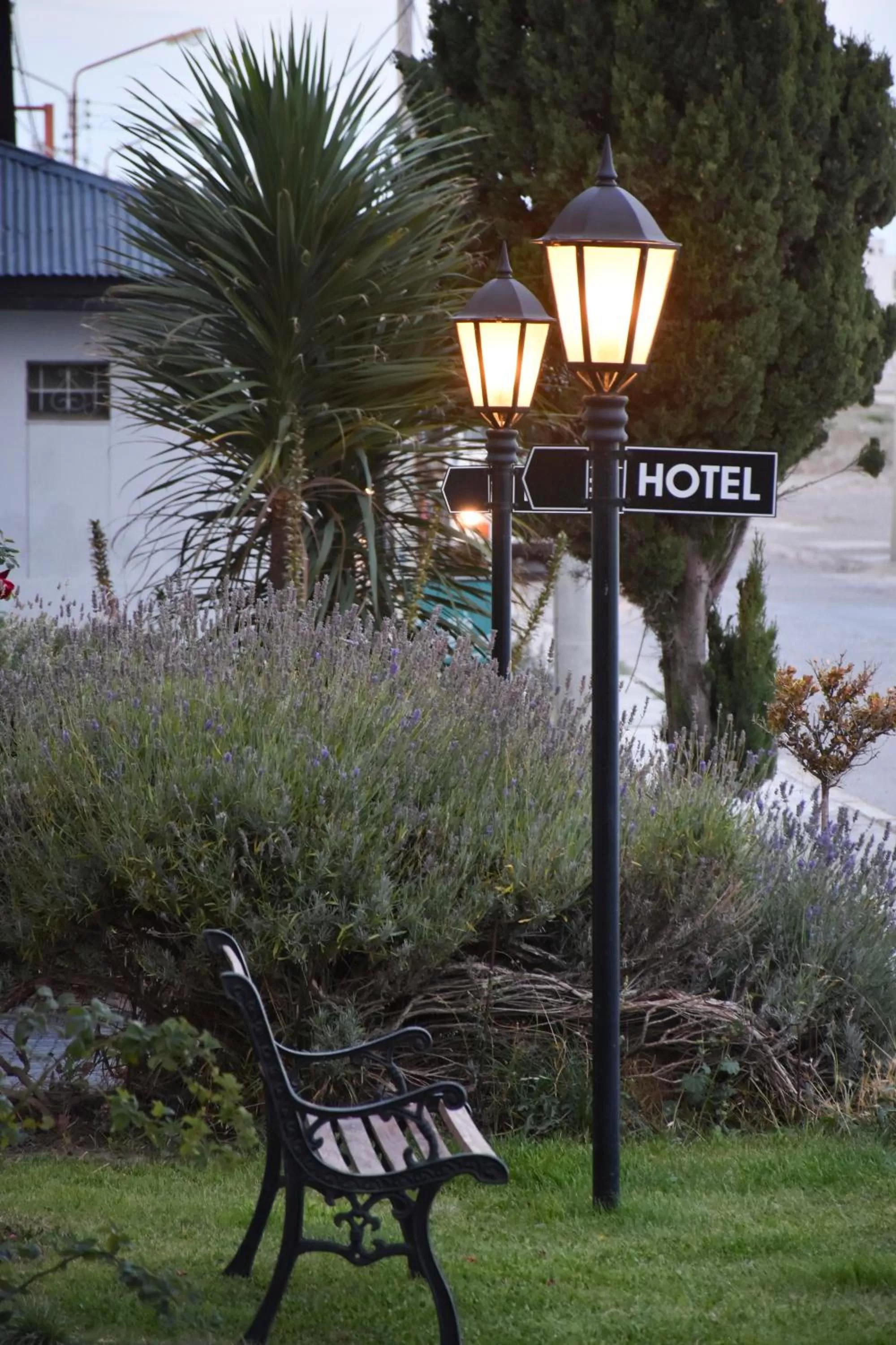 Garden in Hotel Playa