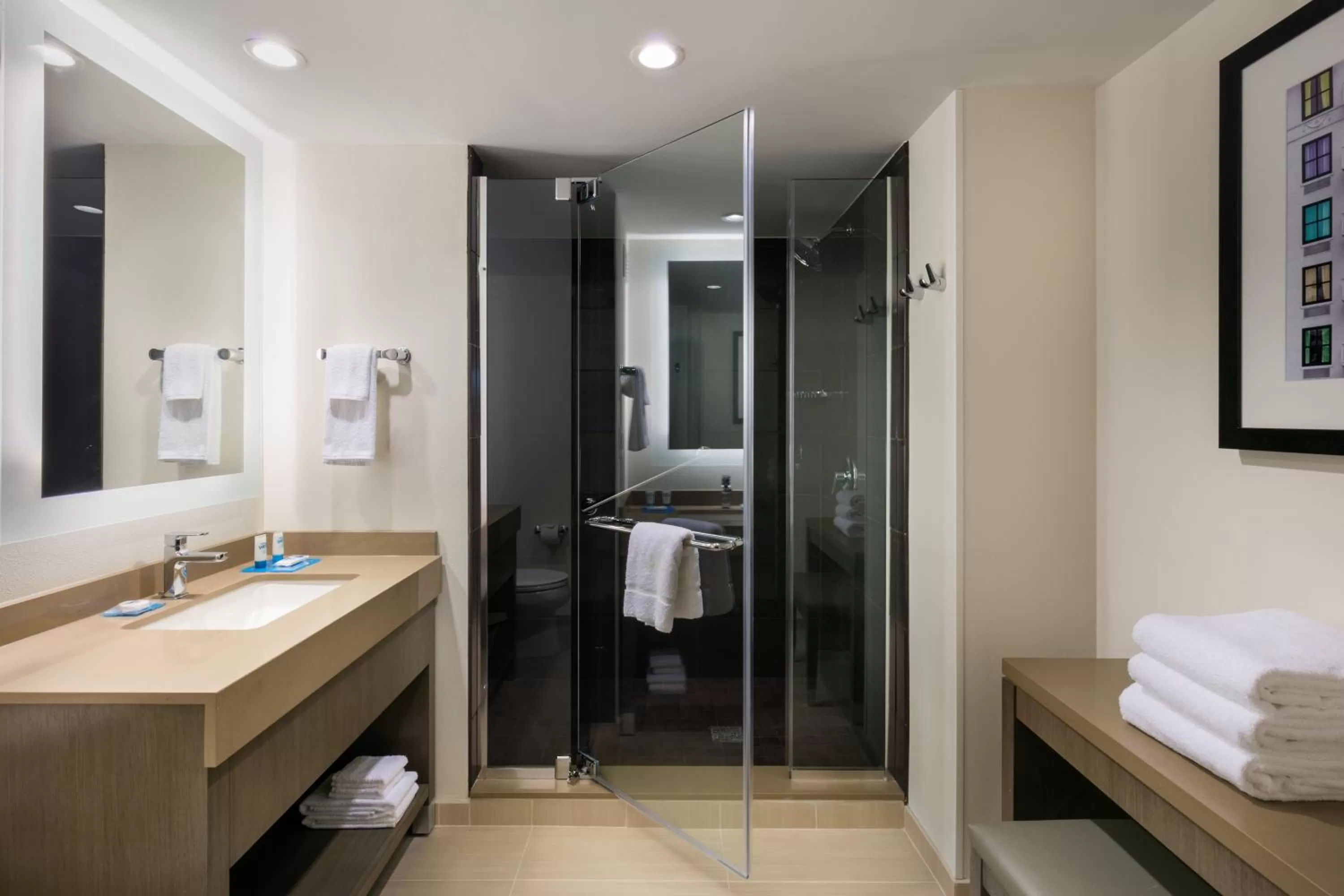 Bathroom in Hyatt House Charleston - Historic District