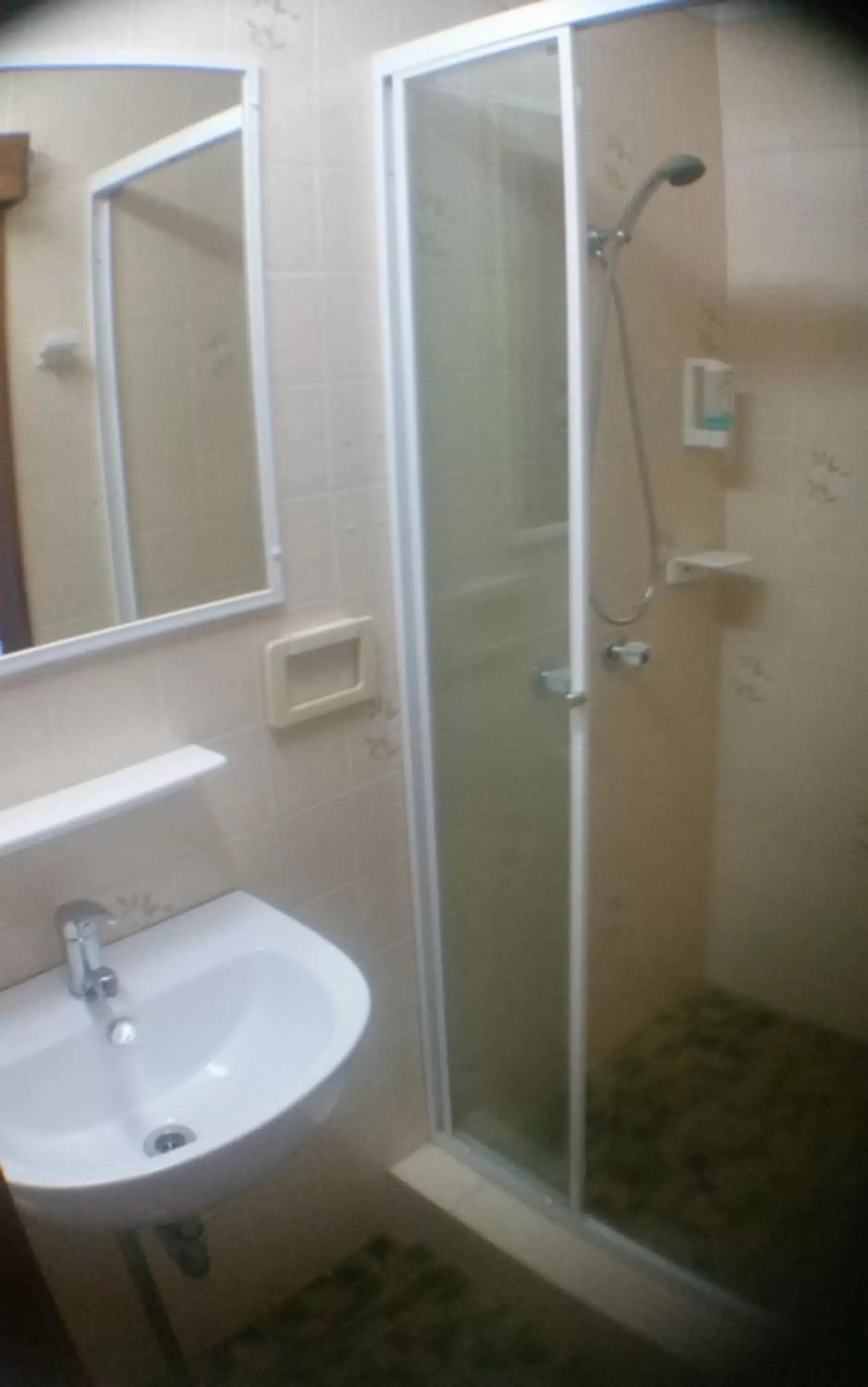 Shower, Bathroom in Avlon Gardens Motel
