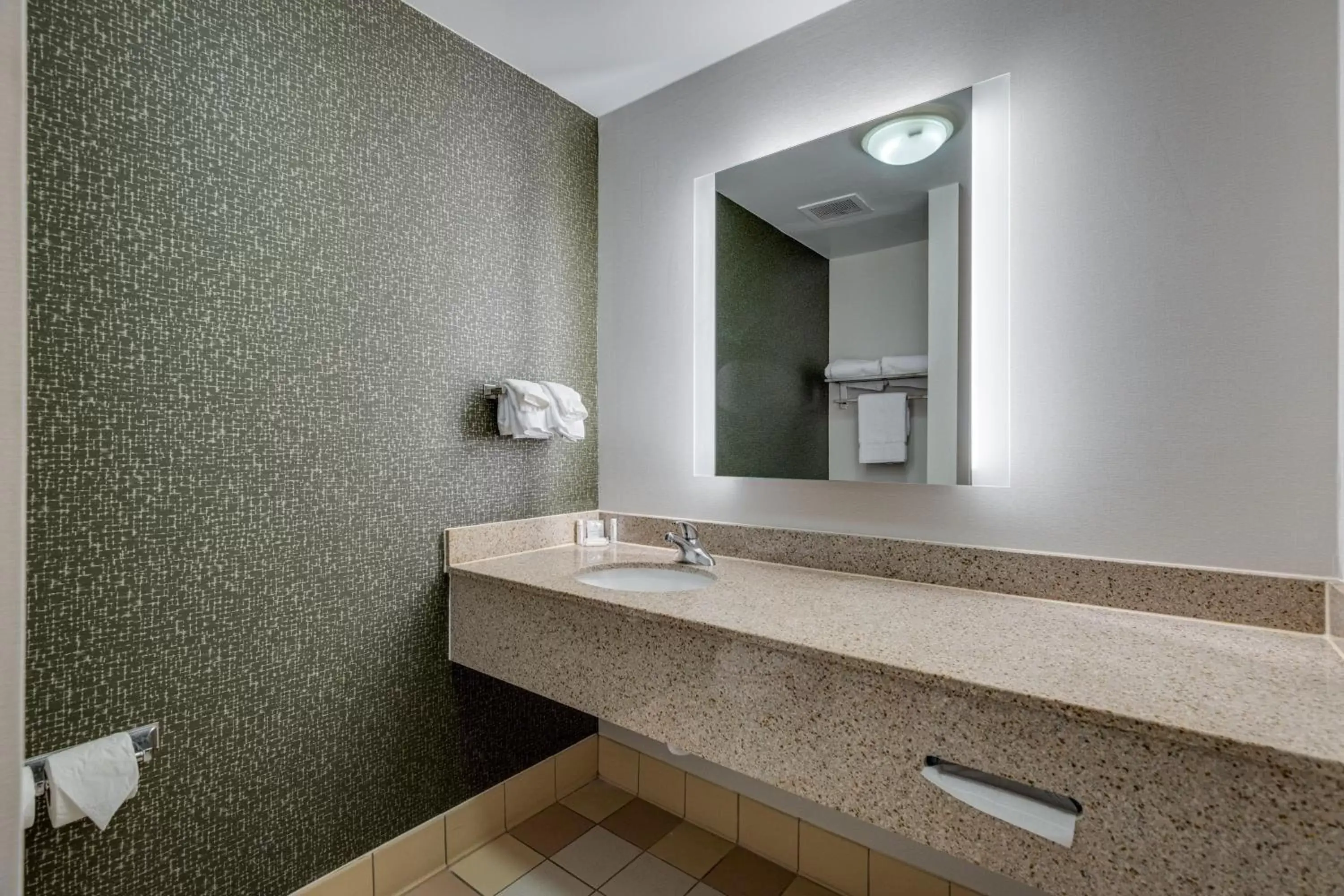 Bathroom in Fairfield Inn & Suites by Marriott Lawton