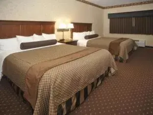 Bed in Best Western Plus Shamrock Inn & Suites