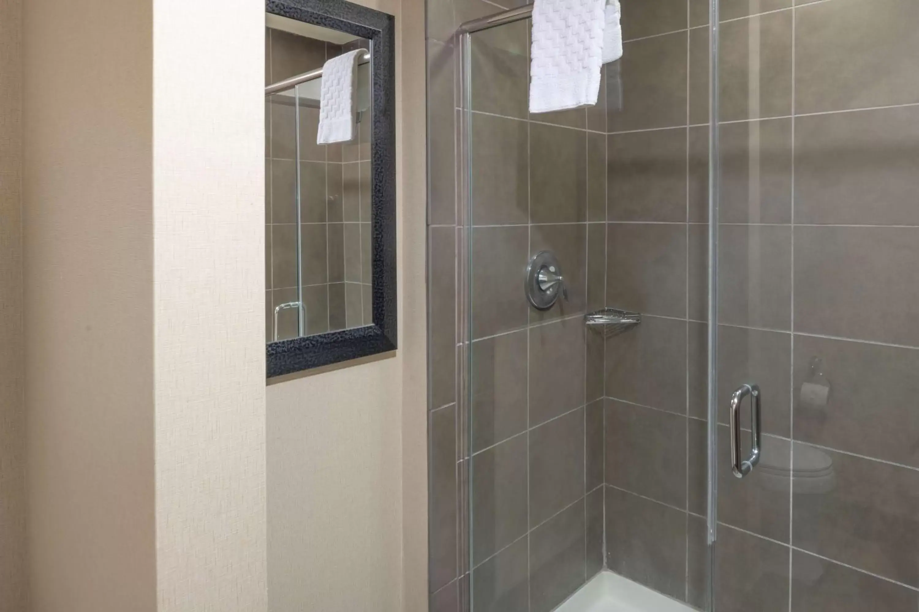 Shower, Bathroom in Best Western Premier Bryan College Station