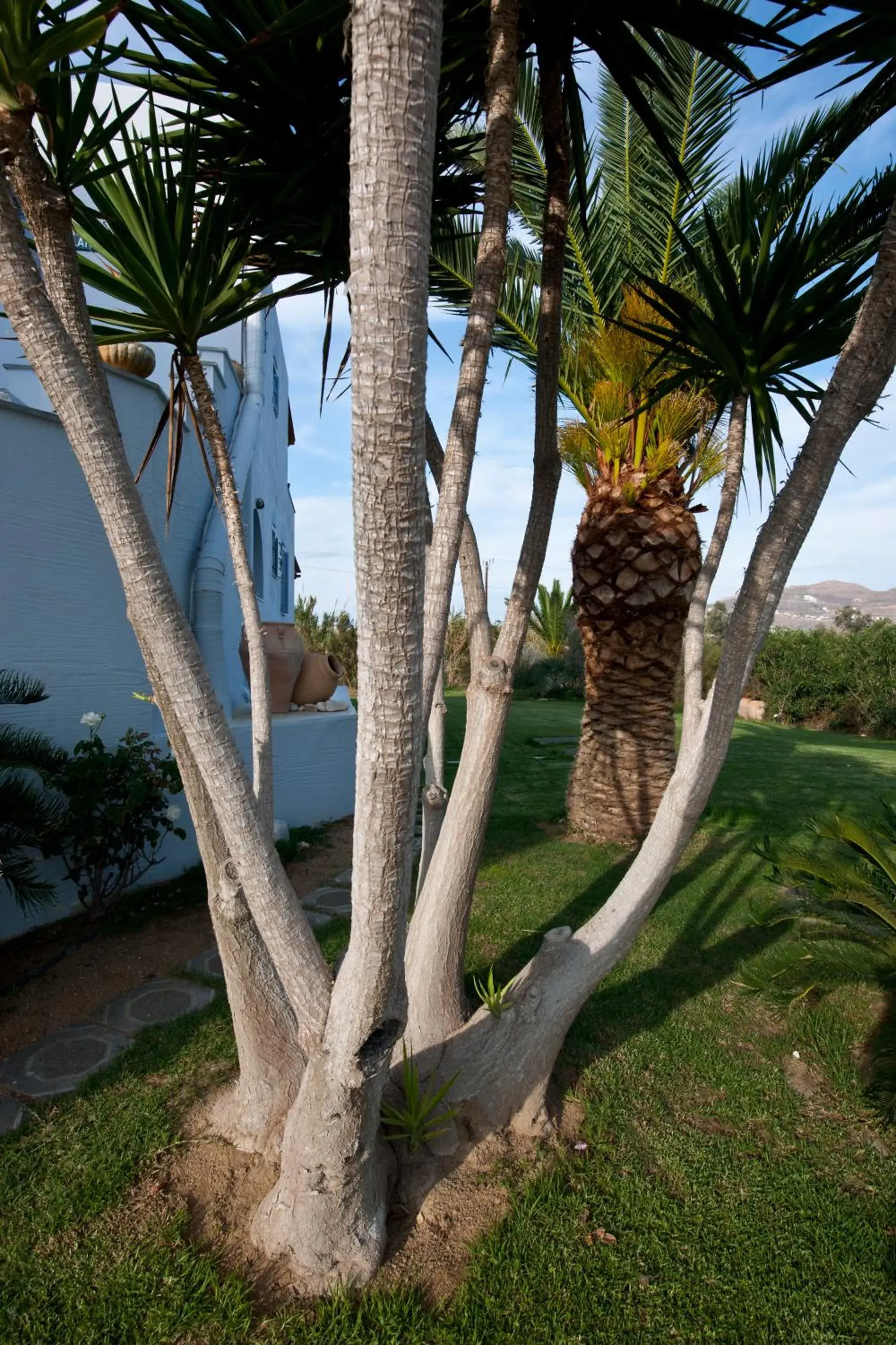 Garden in Ammos Naxos Exclusive Apartment