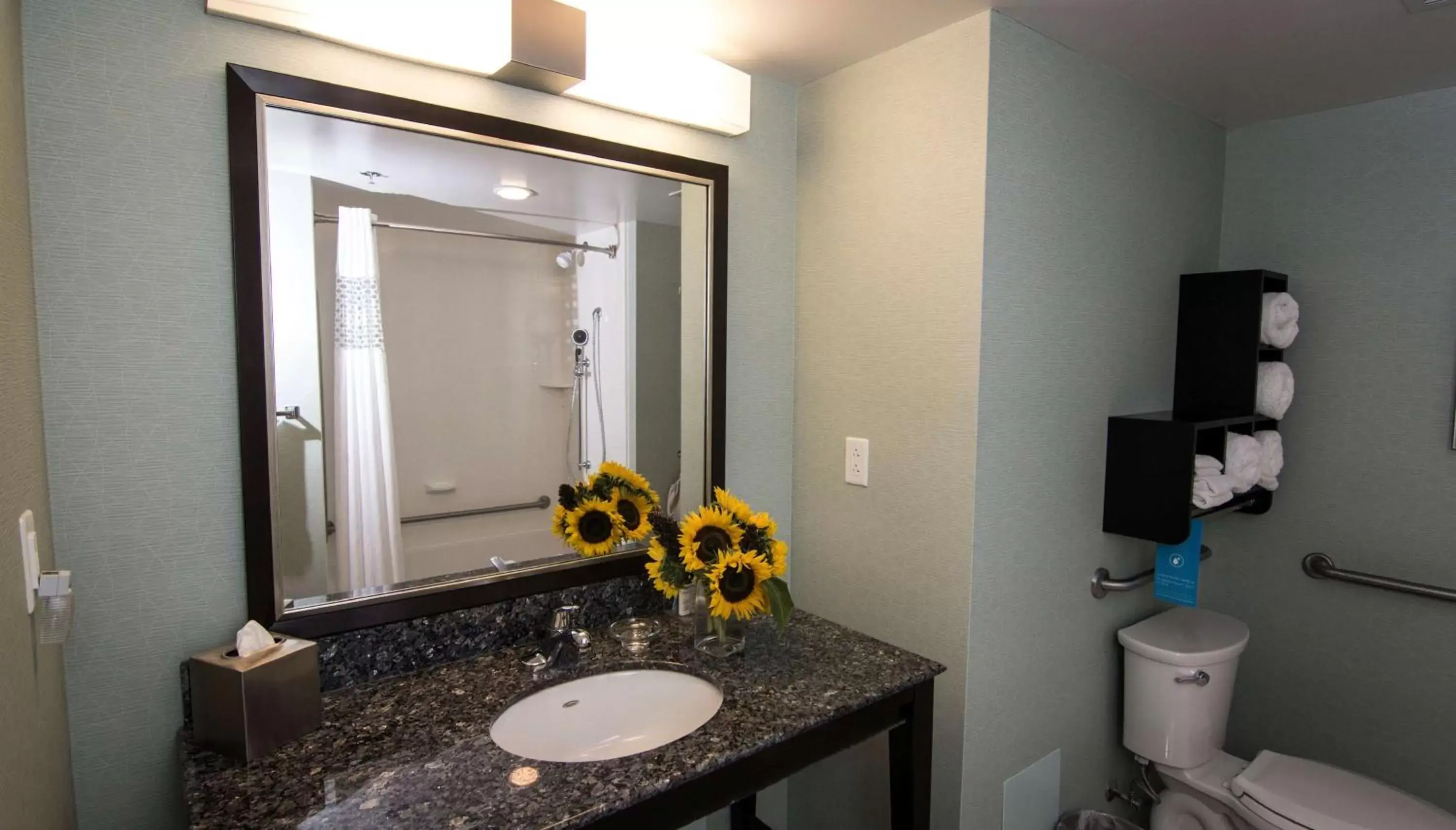 Photo of the whole room, Bathroom in Hampton Inn & Suites by Hilton St. John's Airport