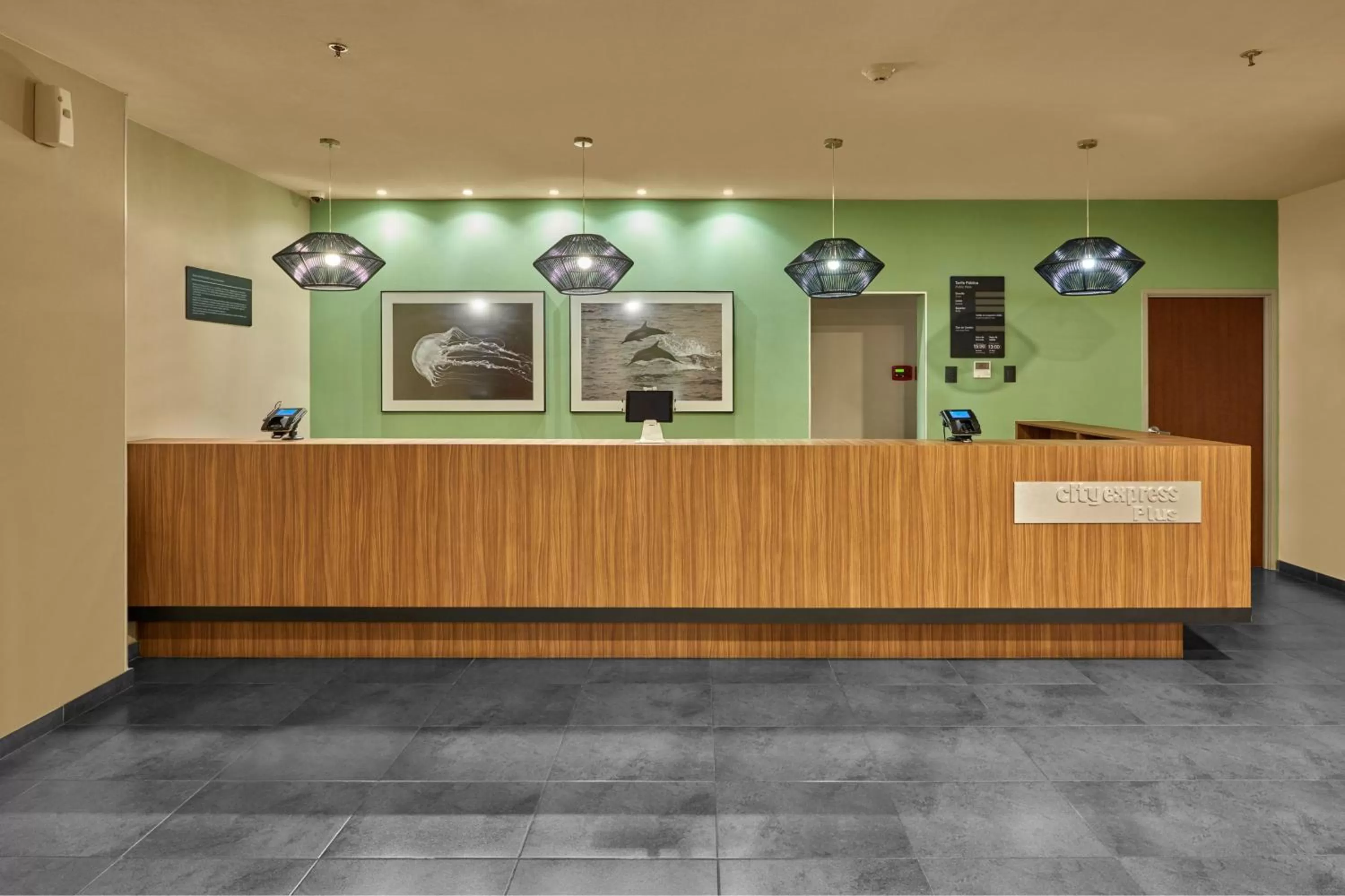 Lobby or reception, Lobby/Reception in City Express Plus by Marriott Cabo San Lucas