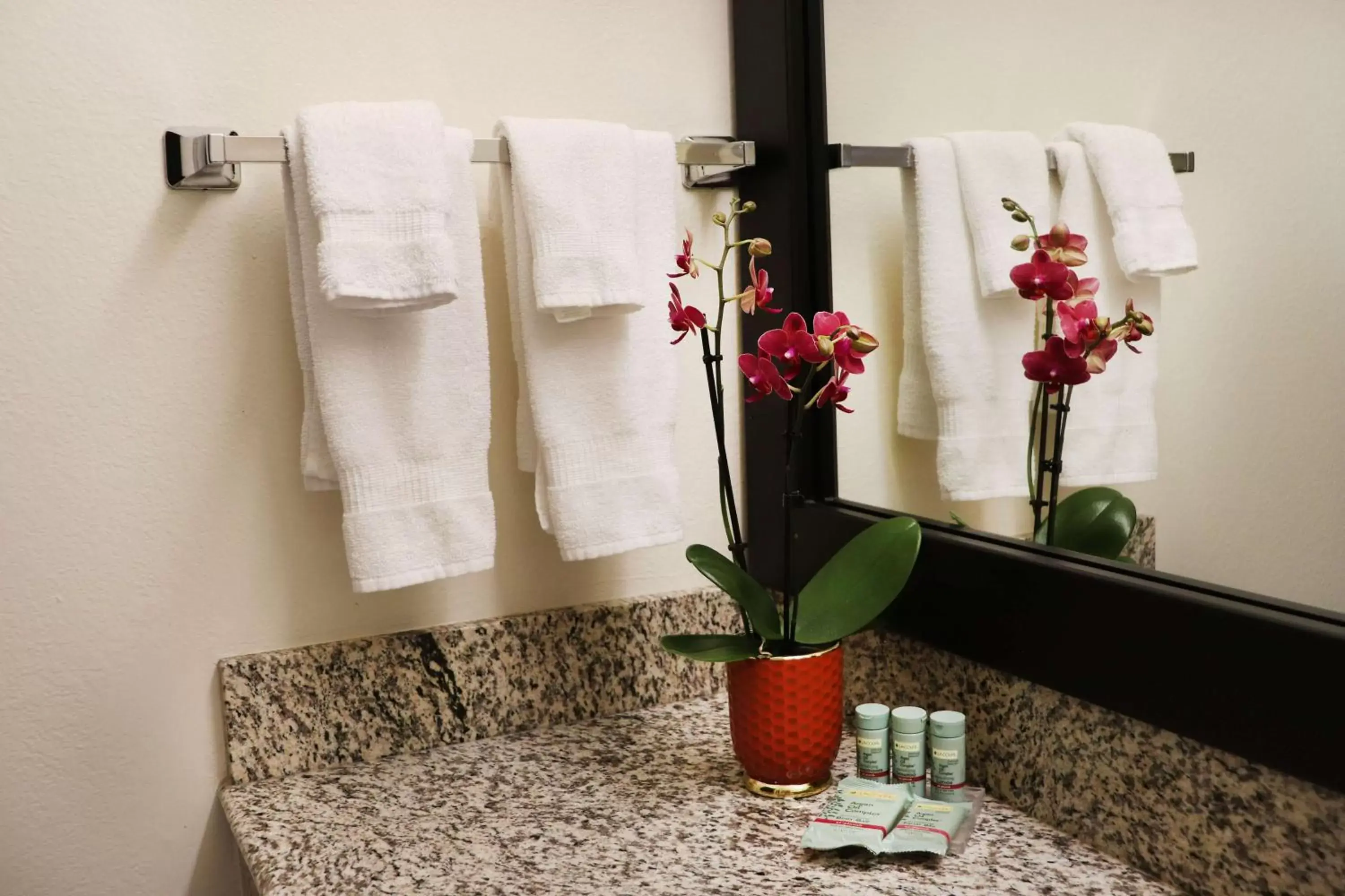 Bathroom in Best Western Sonoma Winegrower's Inn