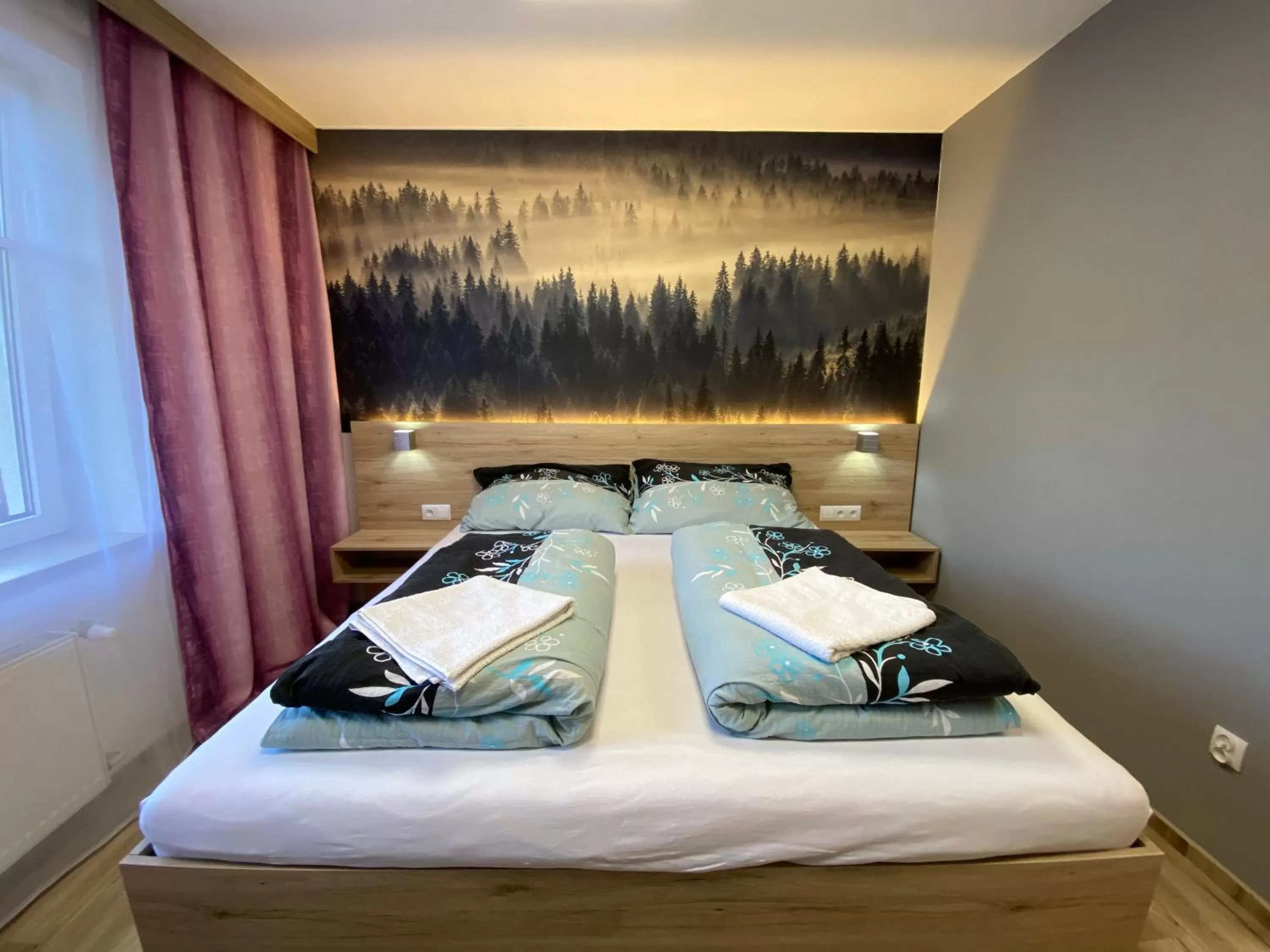 Standard Double or Twin Room in Hotel U Kociana