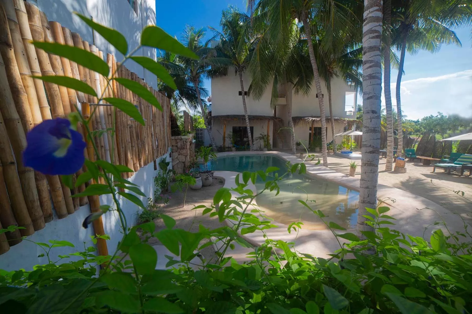 Garden, Property Building in Hotel Boutique Can Cocal El Cuyo