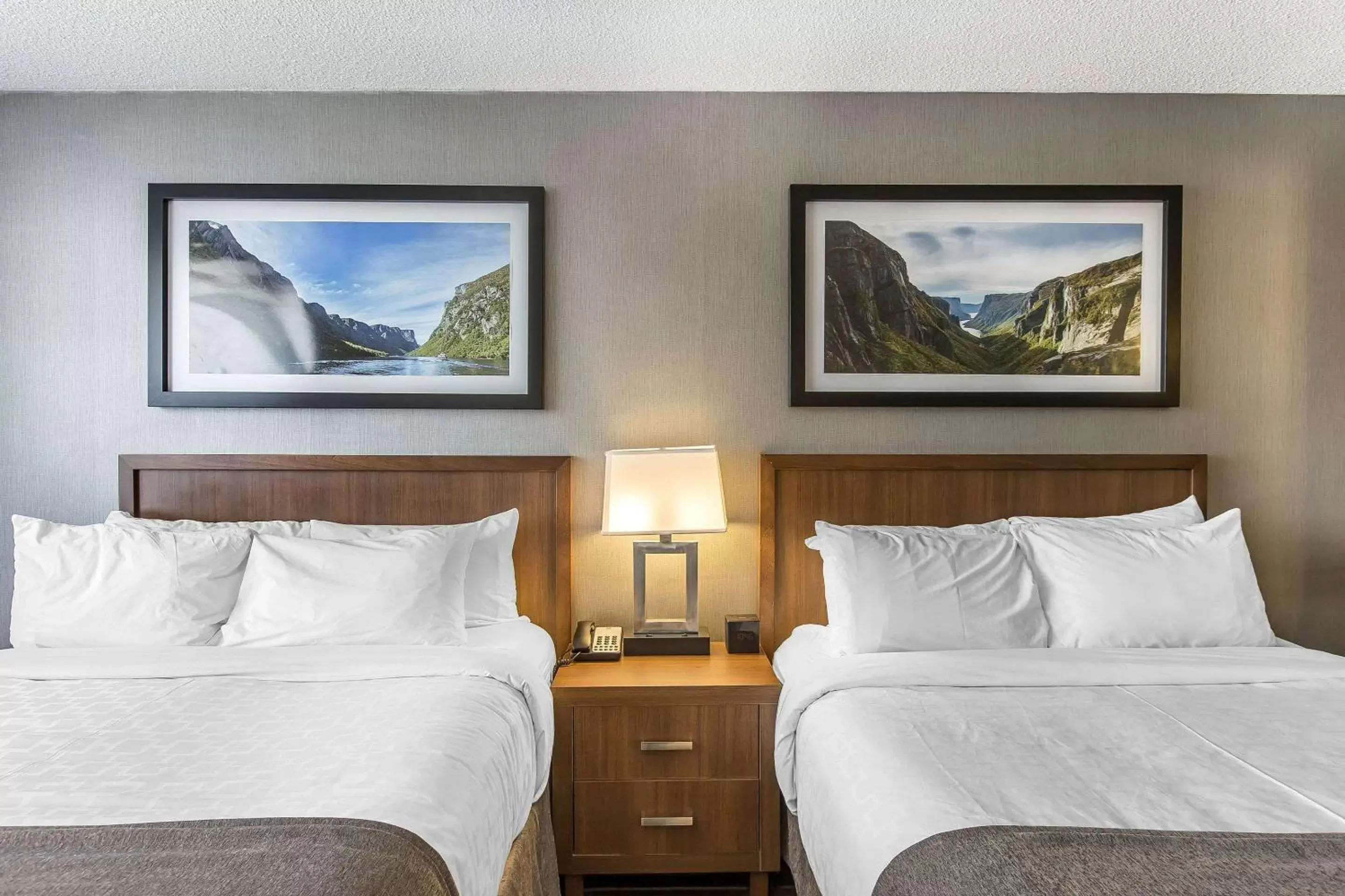 Photo of the whole room, Bed in Quality Inn Photo of the whole room, Bed in Quality Inn