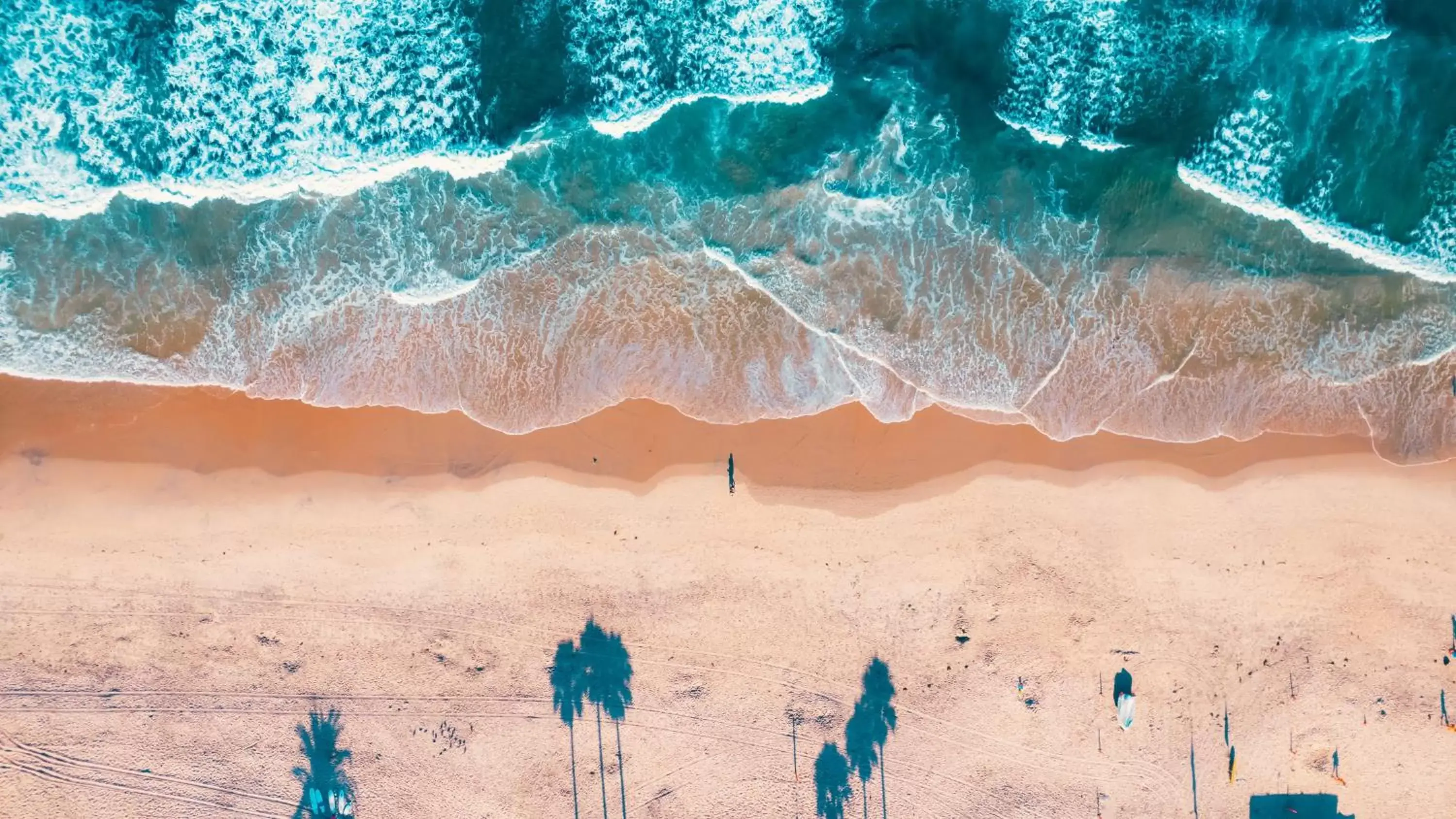 Beach in Del Mar Beach Hotel