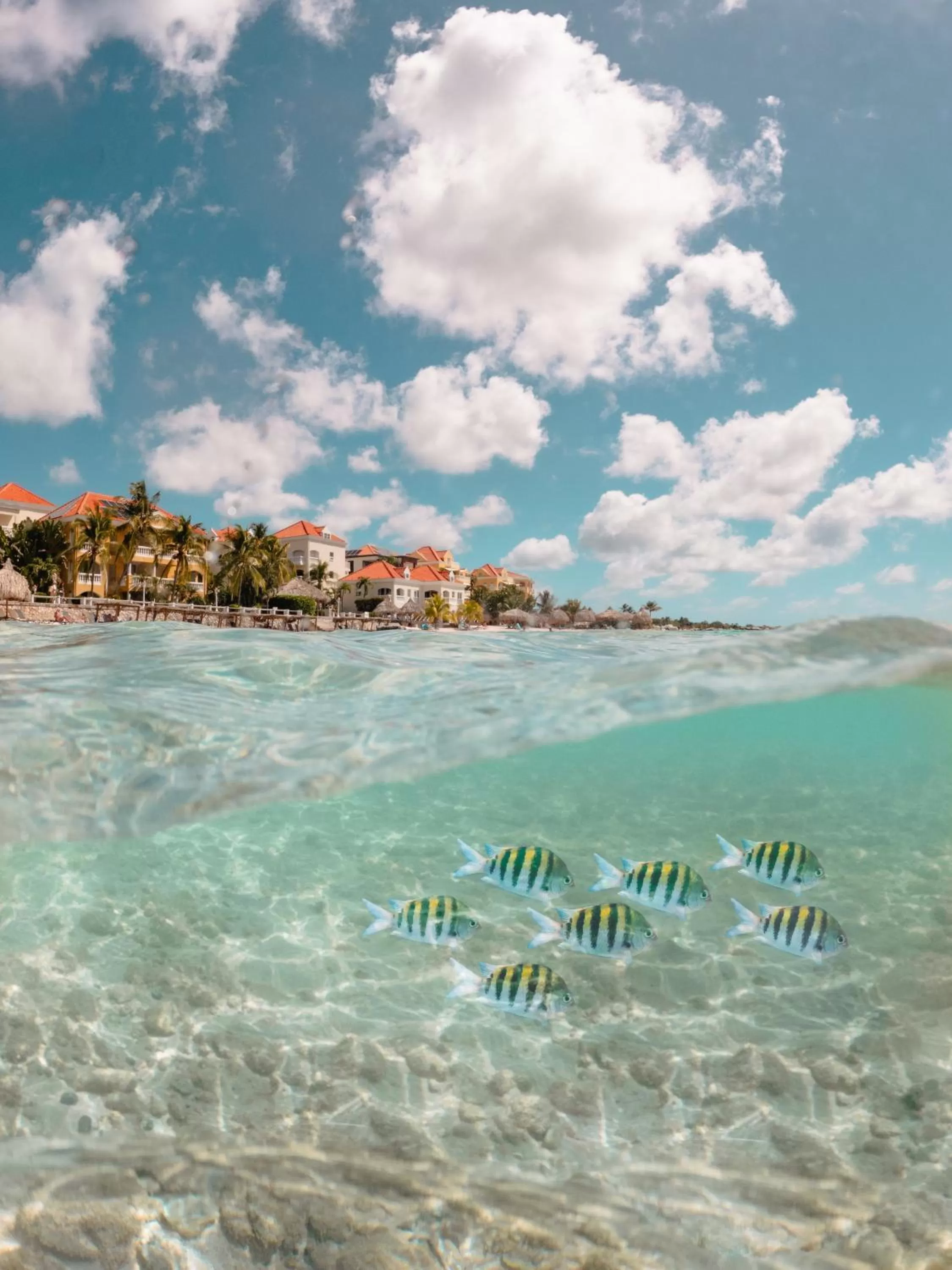Snorkeling in Curacao Avila Beach Hotel