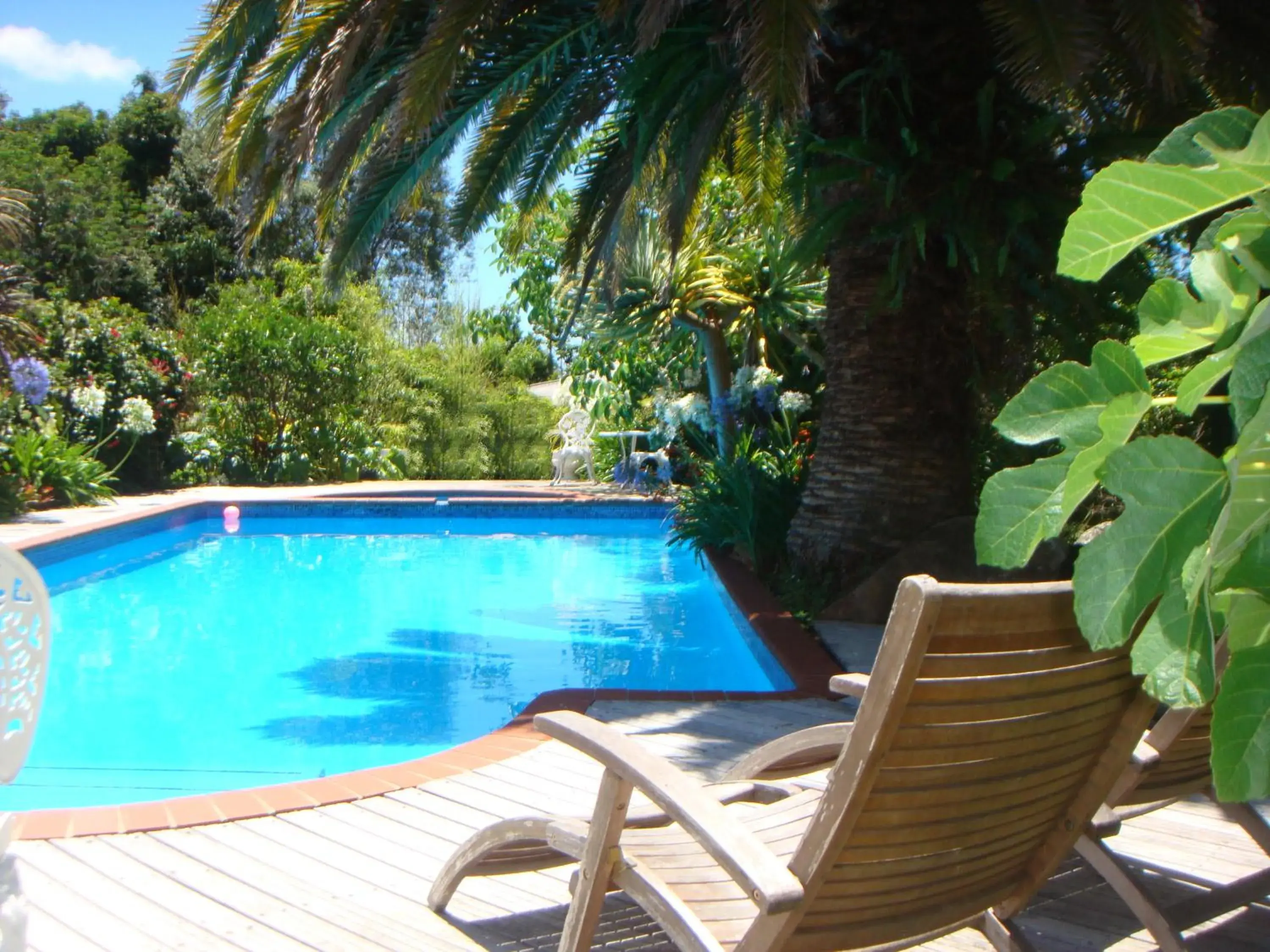 Garden, Swimming Pool in Colonial House Motel