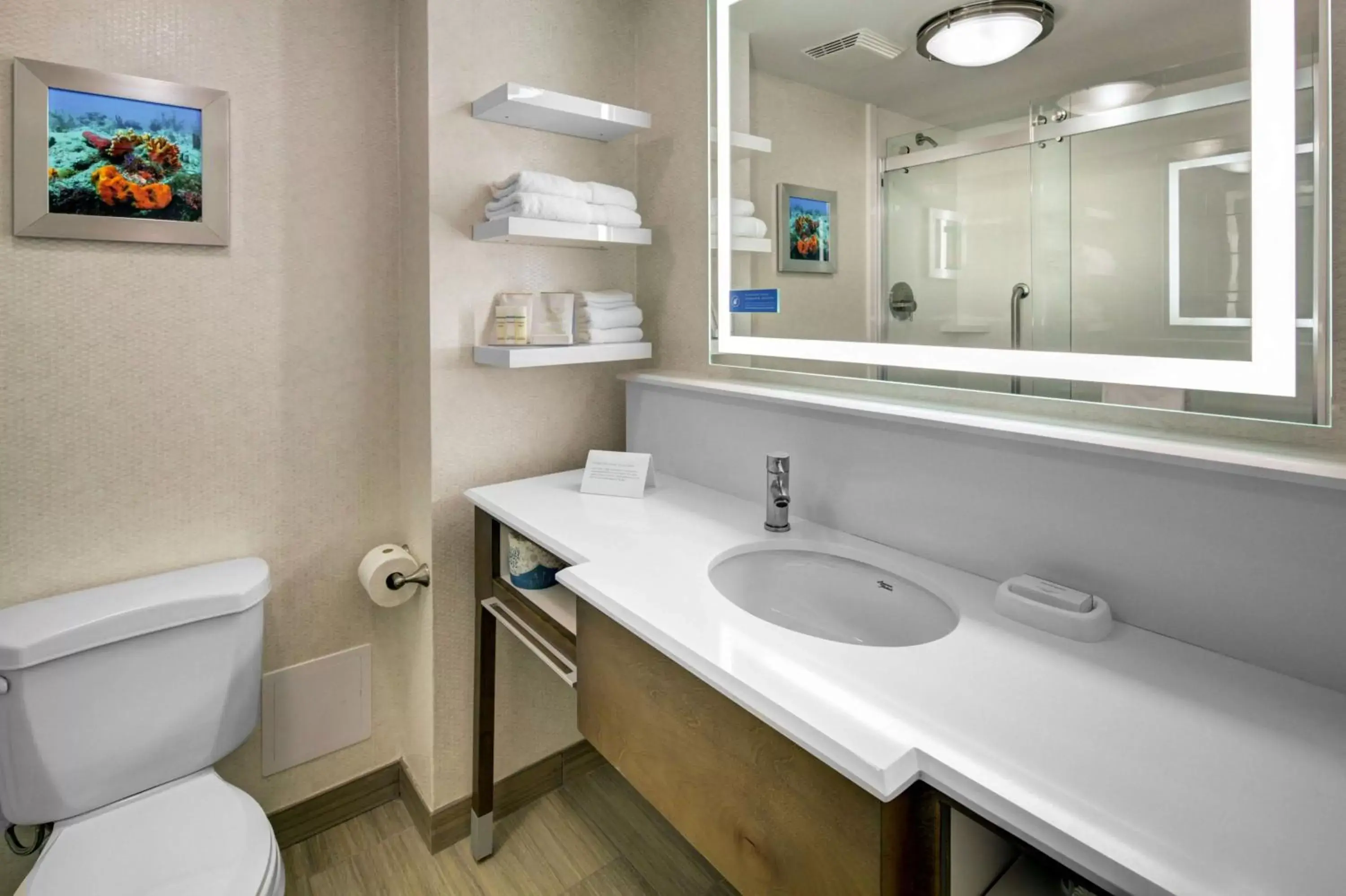 Bathroom in Hampton Inn Pembroke Pines