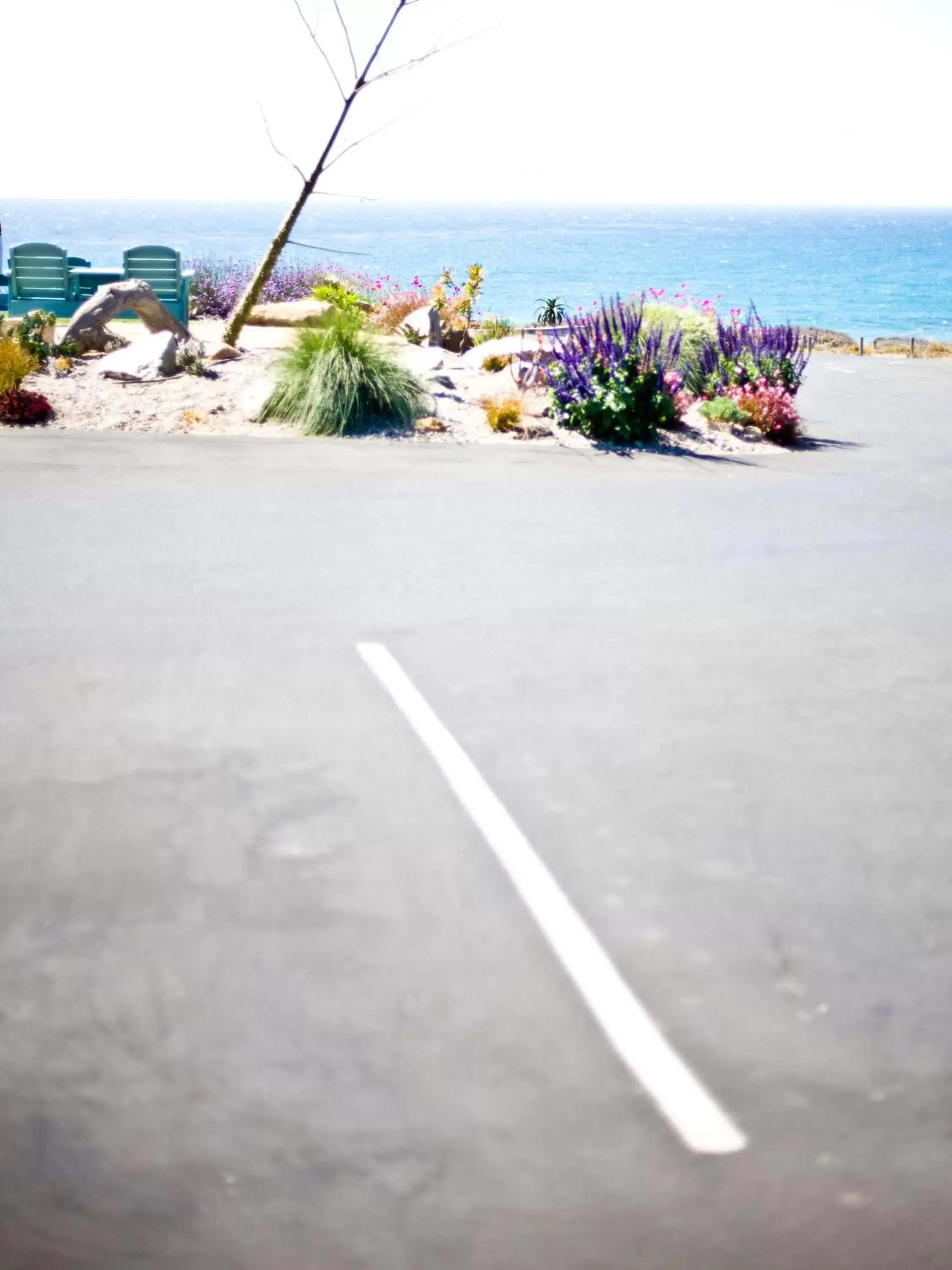 Day, Beach in Cambria Shores Inn